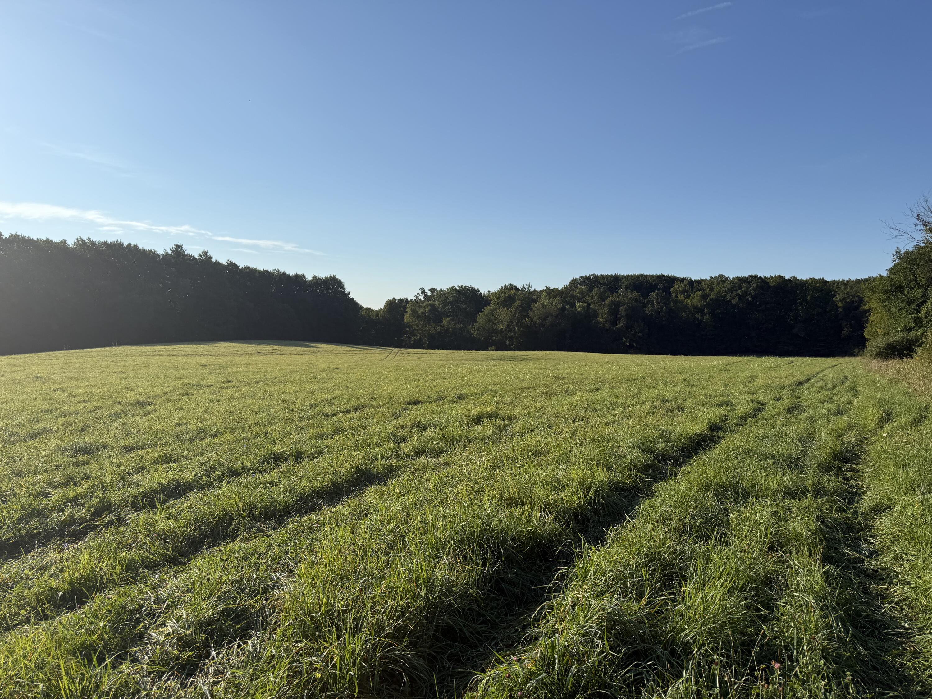 Tbd Tbd Bordman Road, Unit TBD Leonard, MI 48367 - Photo 31 of 40 B16