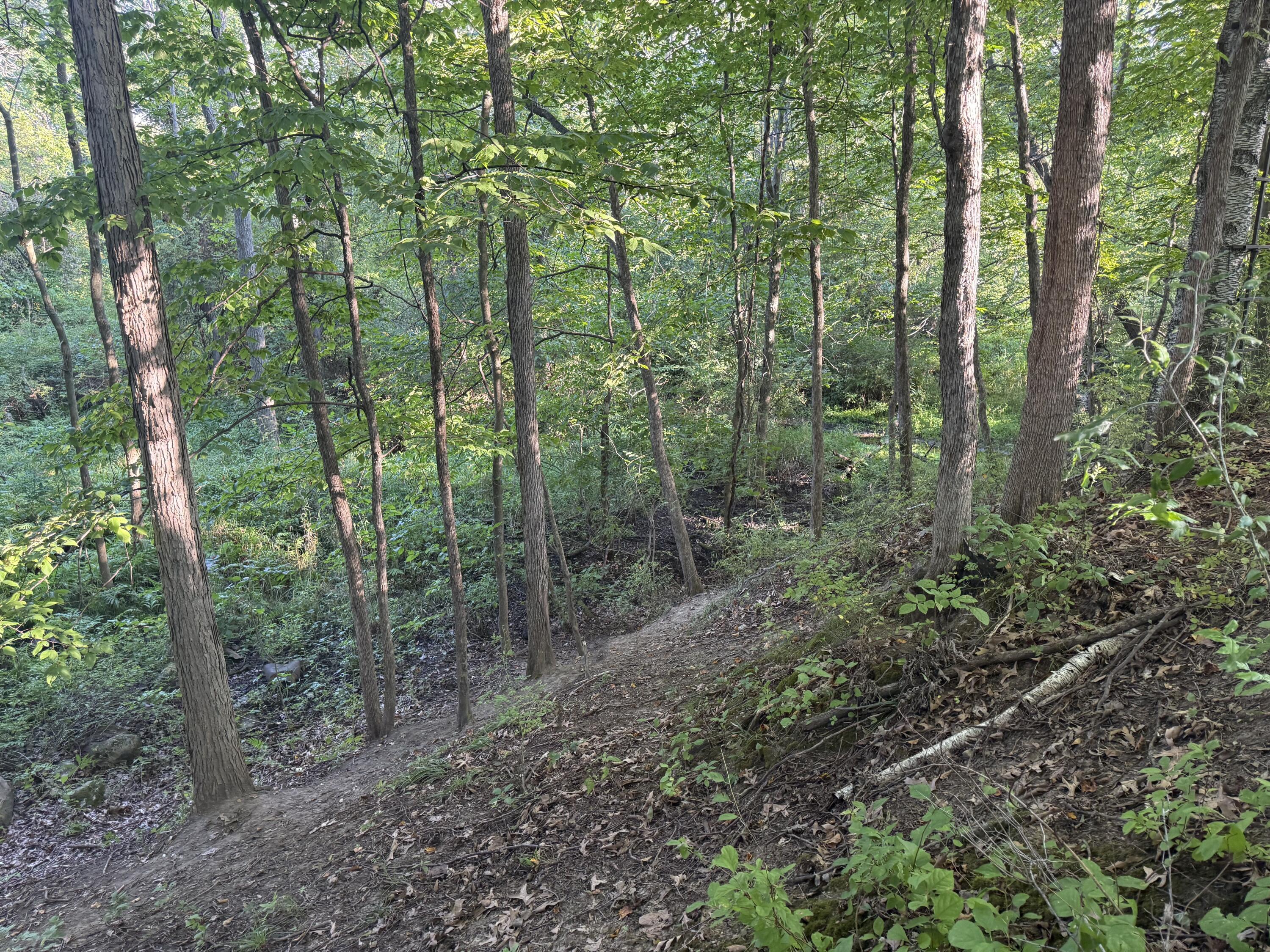 Tbd Tbd Bordman Road, Unit TBD Leonard, MI 48367 - Photo 32 of 40 B17