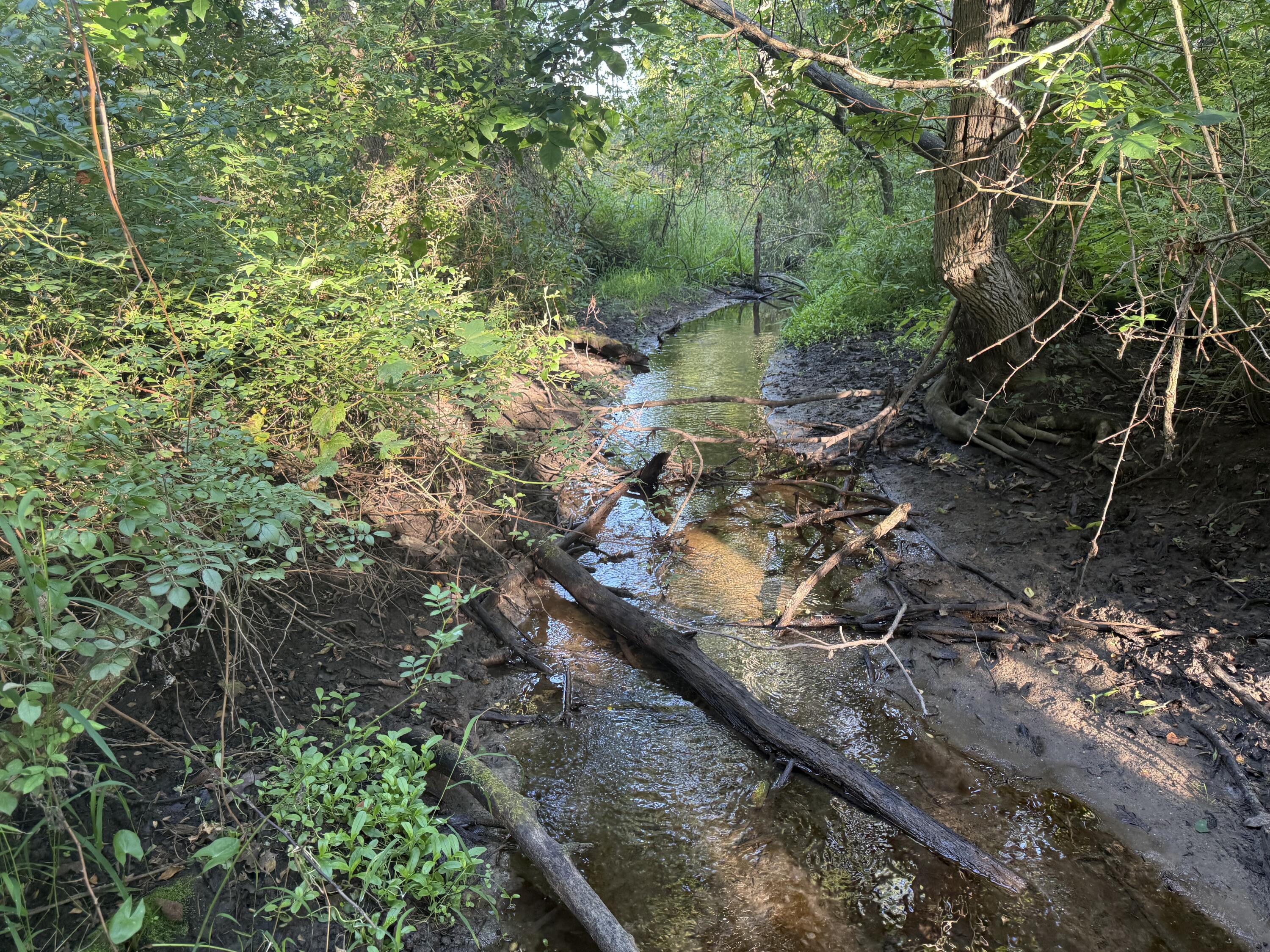 Tbd Tbd Bordman Road, Unit TBD Leonard, MI 48367 - Photo 33 of 40 B20