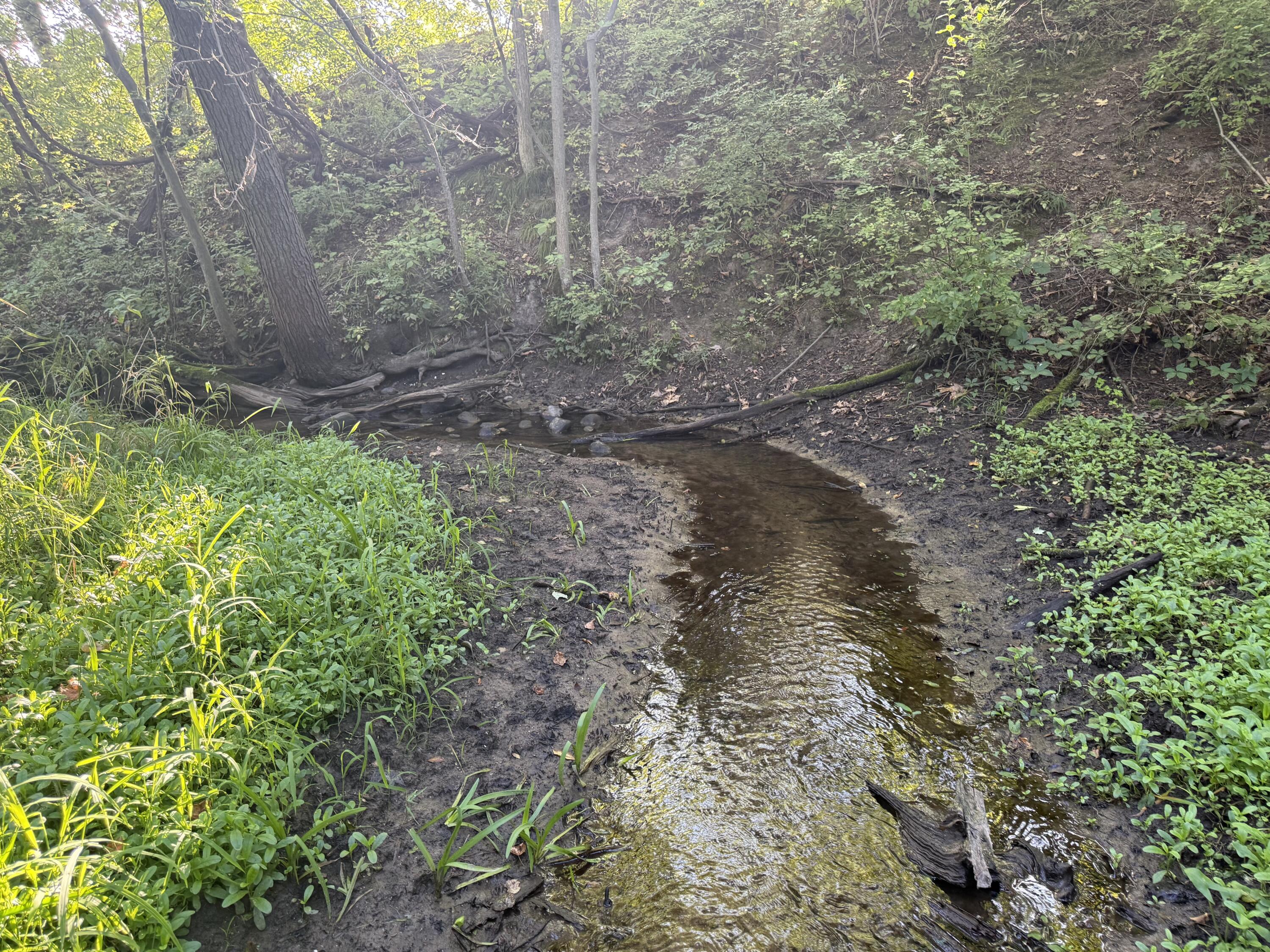 Tbd Tbd Bordman Road, Unit TBD Leonard, MI 48367 - Photo 34 of 40 B21