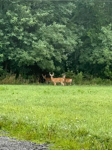 $960,000 | Tbd Tbd Bordman Road, Unit TBD, Leonard, MI 48367