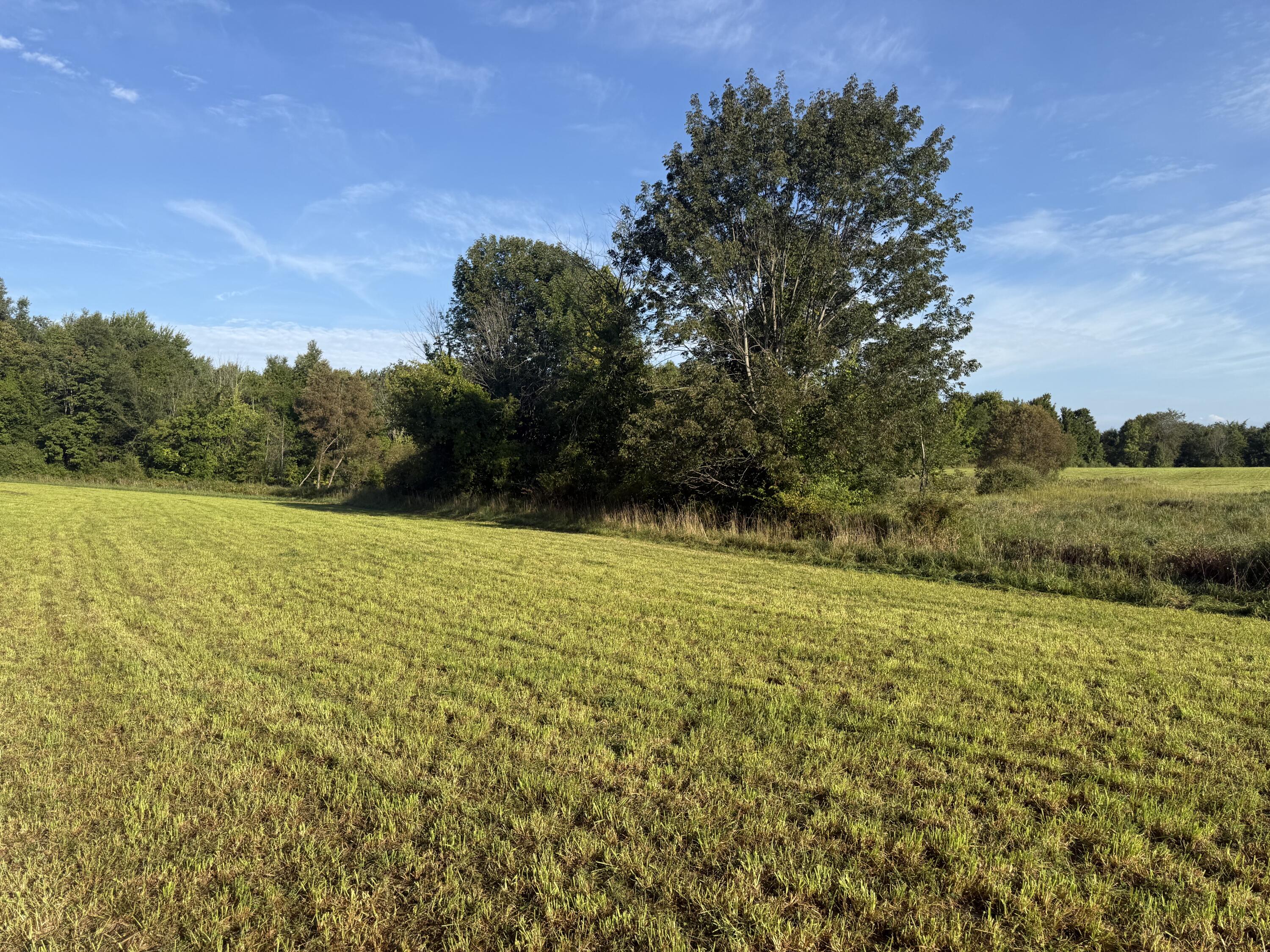 Tbd Tbd Bordman Road, Unit TBD Leonard, MI 48367 - Photo 37 of 40 B27