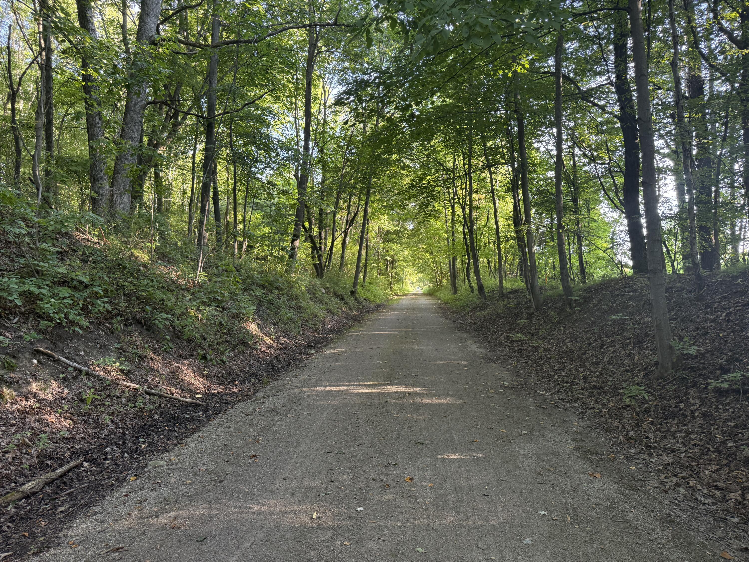 Tbd Tbd Bordman Road, Unit TBD Leonard, MI 48367 - Photo 38 of 40 B28