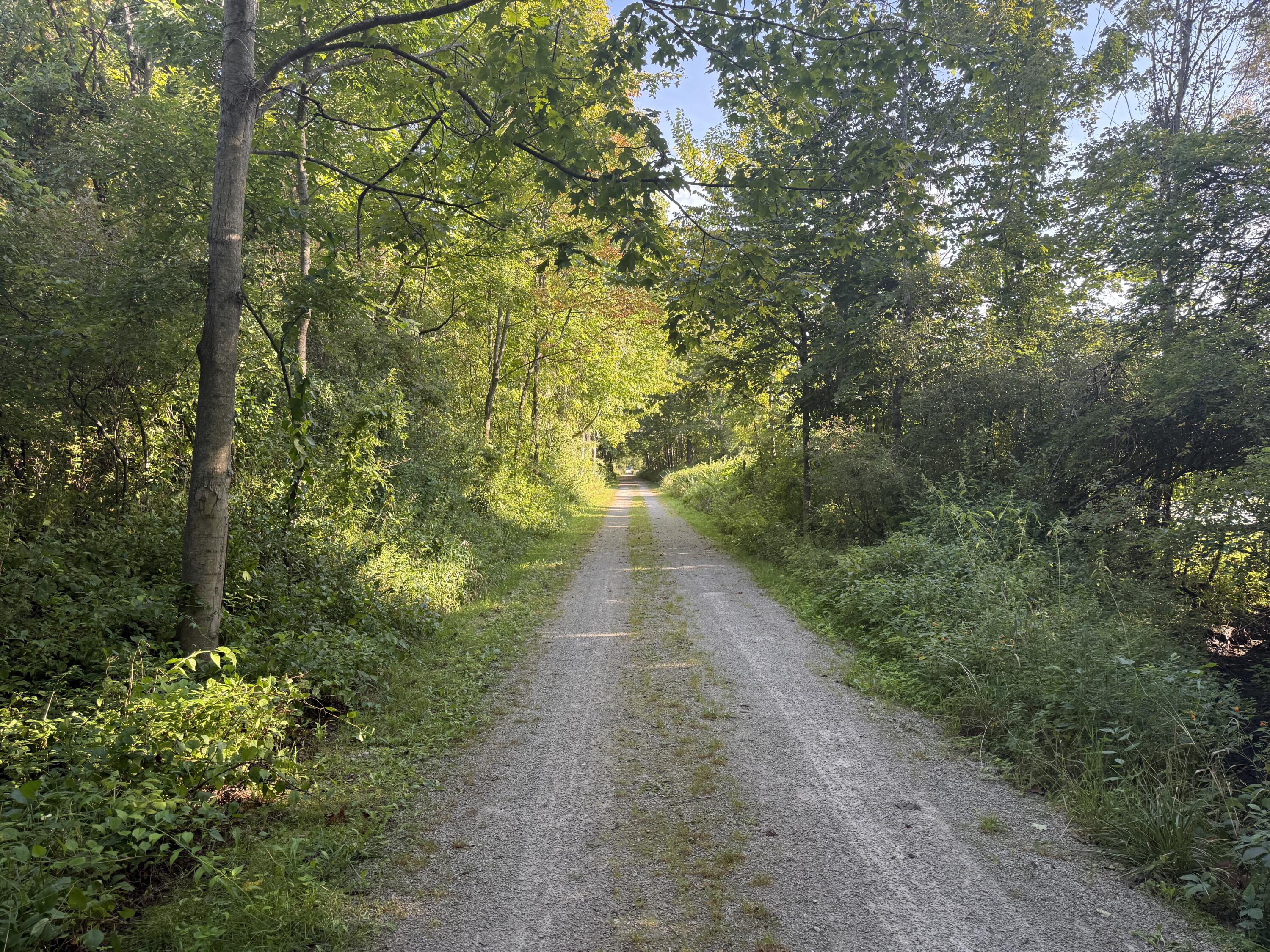 Tbd Tbd Bordman Road, Unit TBD Leonard, MI 48367 - Photo 39 of 40 B29