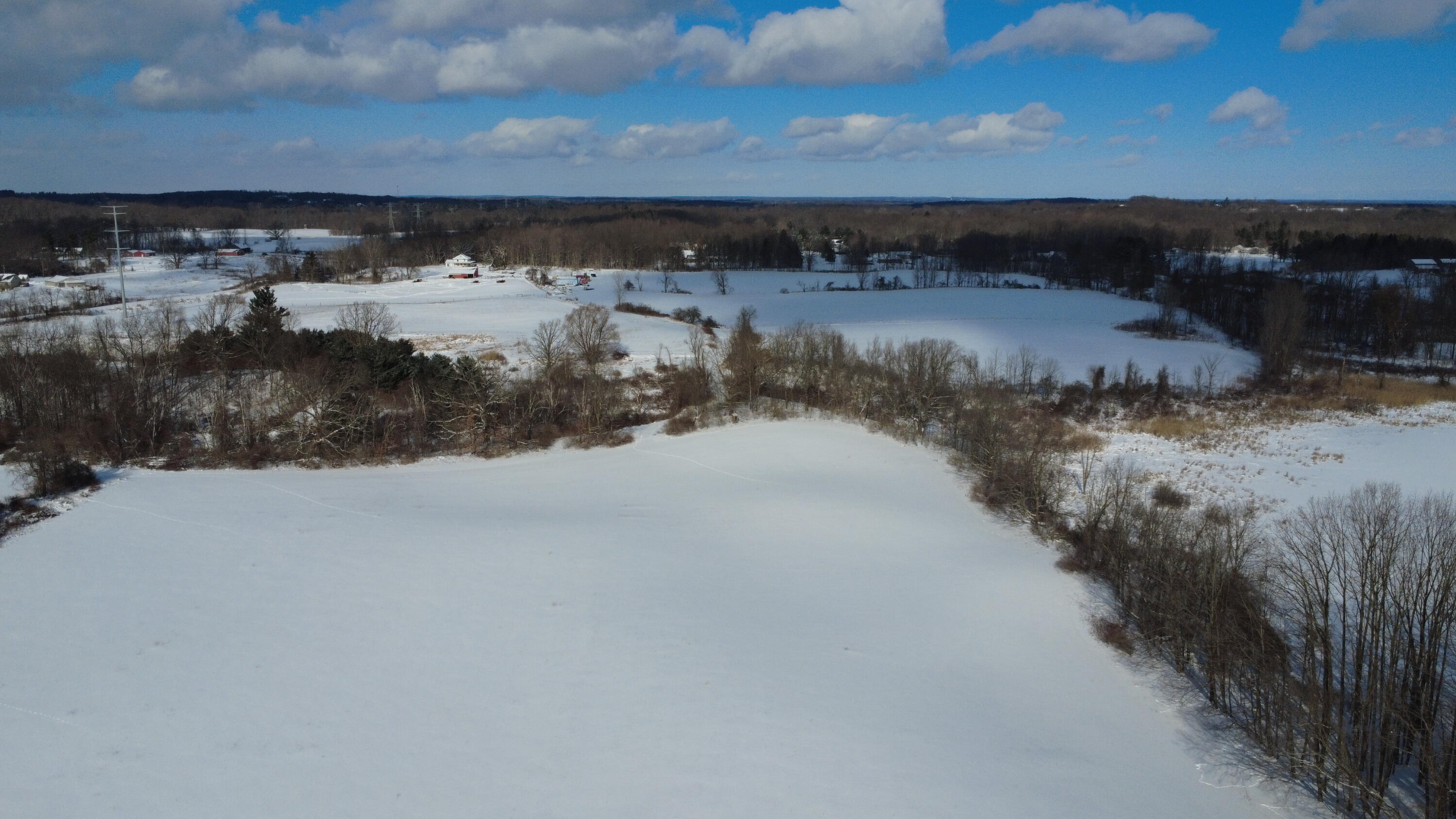 Tbd Tbd Bordman Road, Unit TBD Leonard, MI 48367 - Photo 4 of 40 19