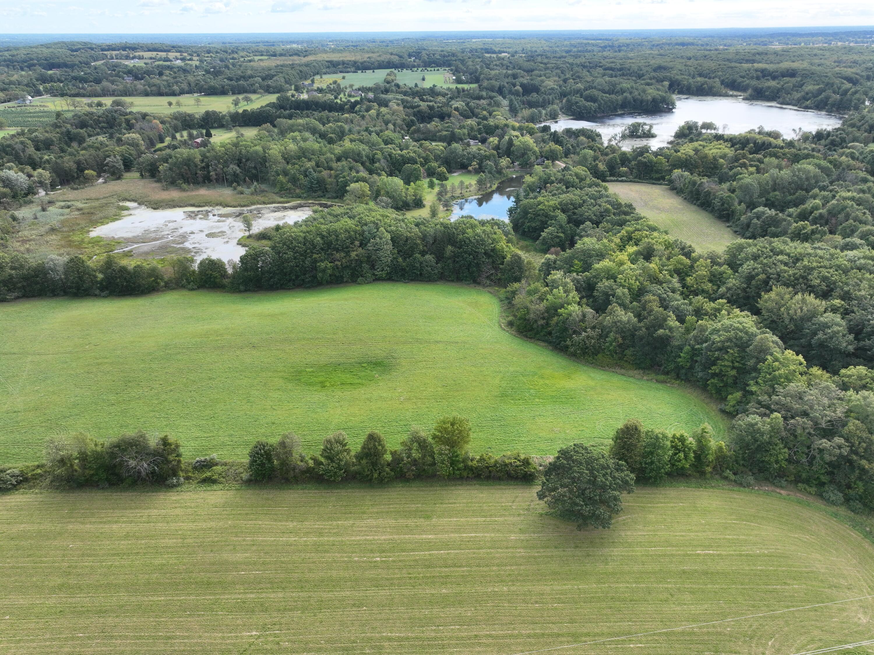 Tbd Tbd Bordman Road, Unit TBD Leonard, MI 48367 - Photo 5 of 32 j51