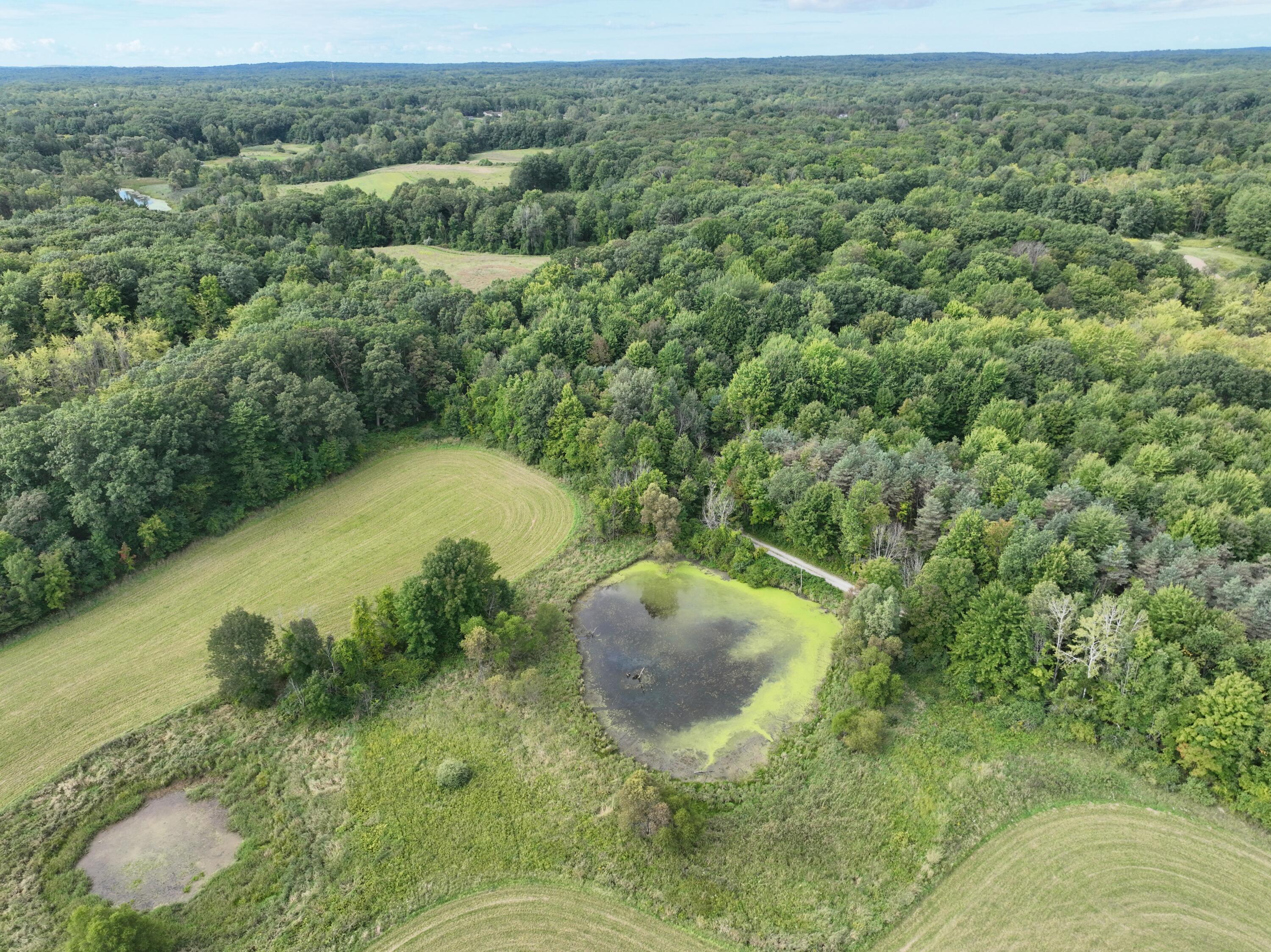 Tbd Tbd Bordman Road, Unit TBD Leonard, MI 48367 - Photo 6 of 32 j52