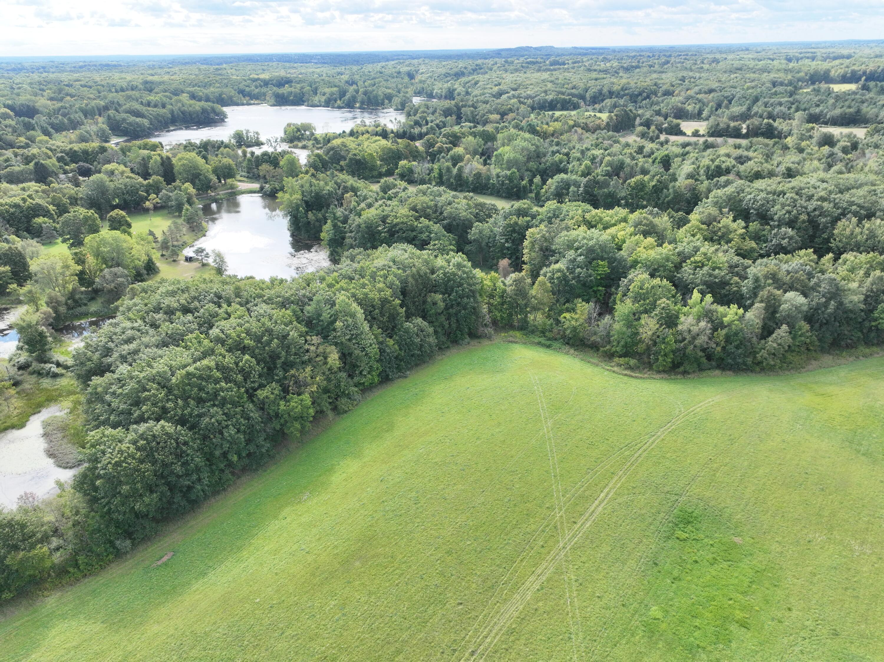 Tbd Tbd Bordman Road, Unit TBD Leonard, MI 48367 - Photo 7 of 32 j54