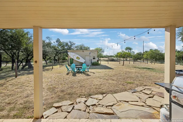 a view of a yard with plants