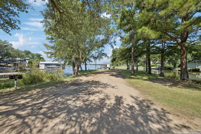 a view of road with large trees