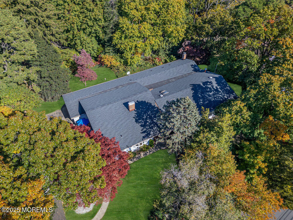 642 Rankin Road Brielle, NJ 08730 - Photo 3 of 59 a view of a tree with a yard