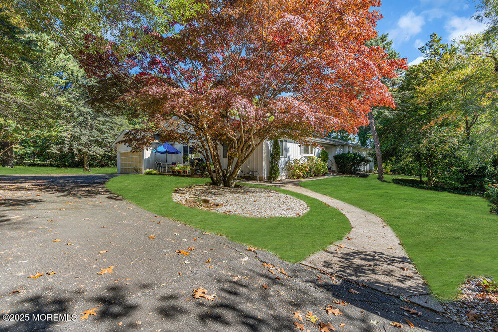 642 Rankin Road Brielle, NJ 08730 - Photo 53 of 59 a view of a park with large trees