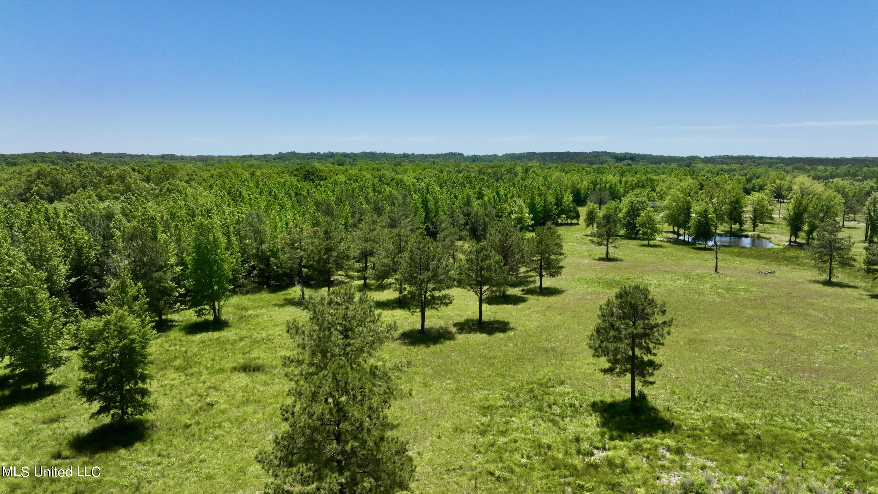 1 Petrified Forest Road Flora, MS 39071 - Photo 1 of 42 drone