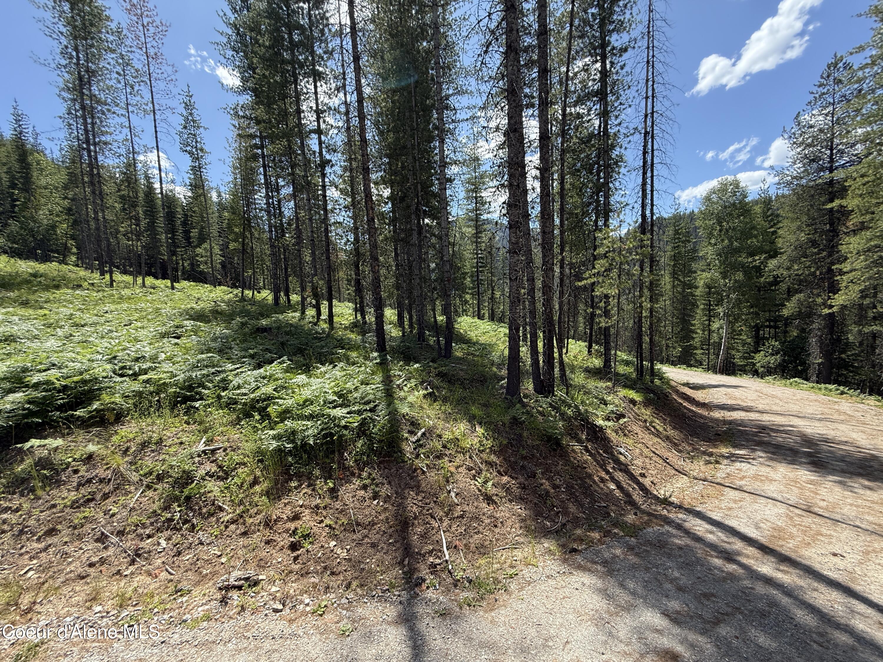 928 Polaris Peak Road Kellogg, ID 83837 - Photo 7 of 11 7