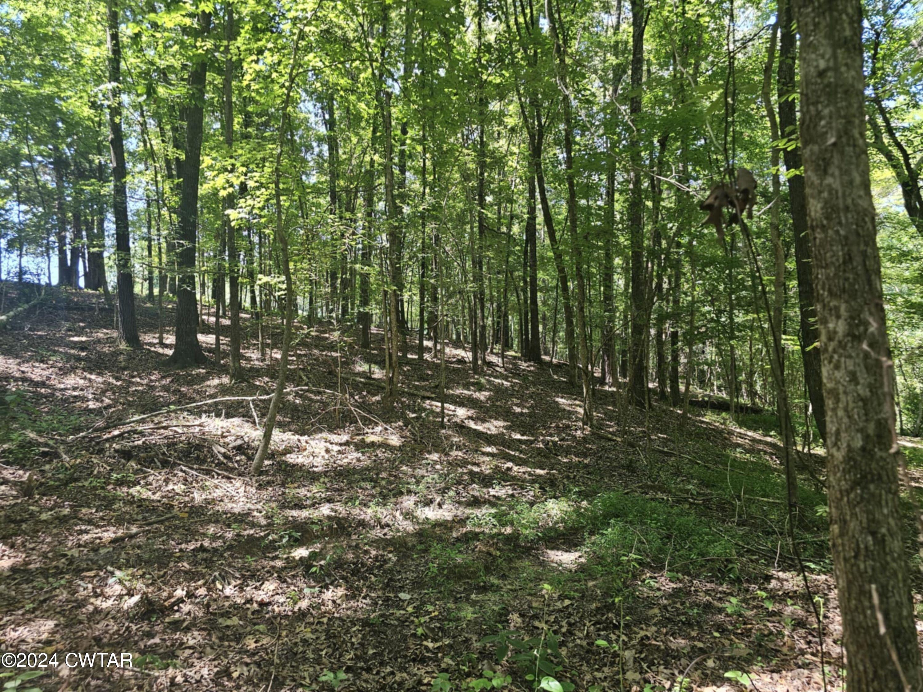 0 Riverside Drive Jackson, TN 38301 - Photo 13 of 14 a view of outdoor space and trees