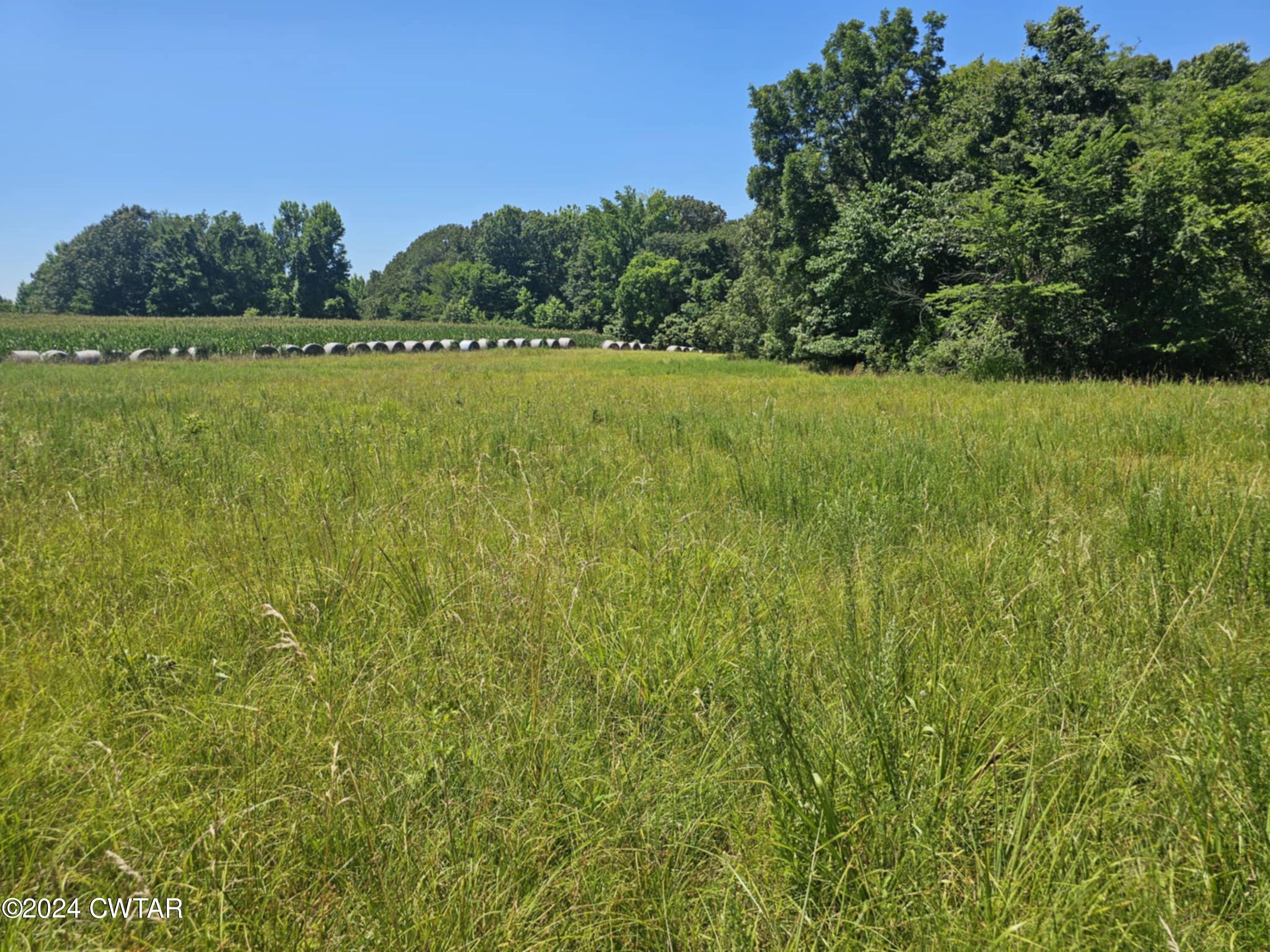 0 Riverside Drive Jackson, TN 38301 - Photo 14 of 14 a view of a field with an trees in the background