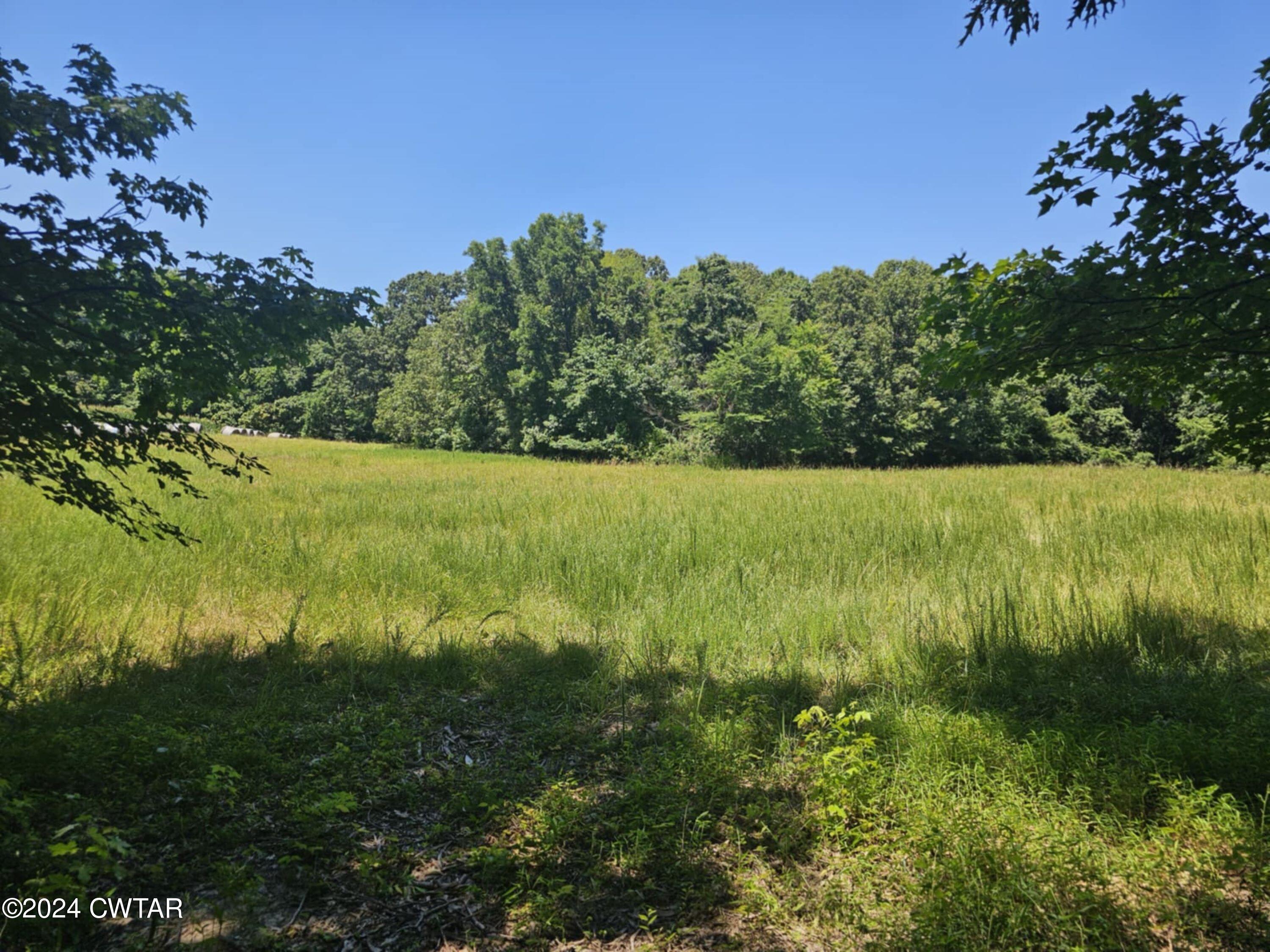 0 Riverside Drive Jackson, TN 38301 - Photo 2 of 14 a view of a garden with a lake