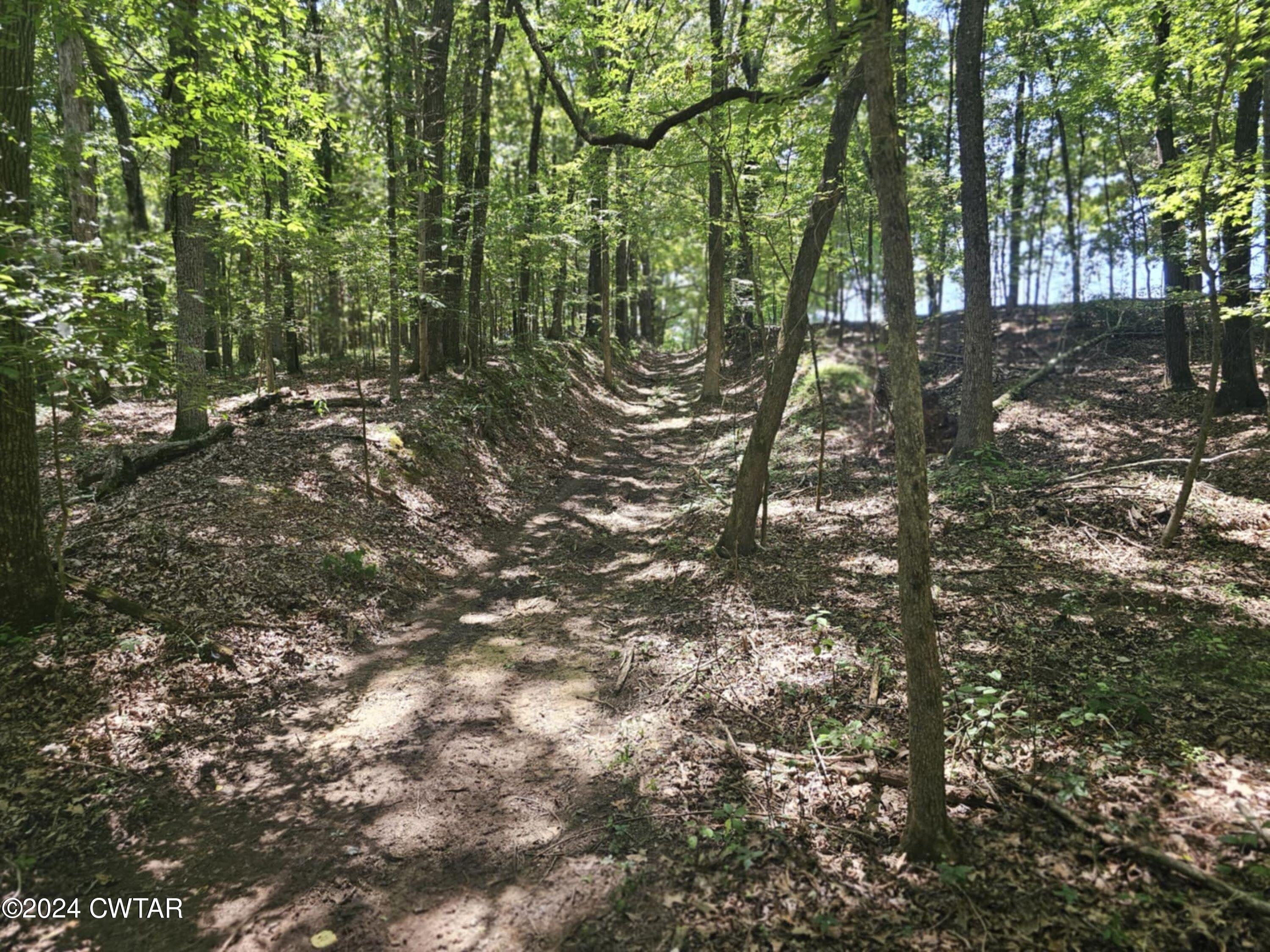 0 Riverside Drive Jackson, TN 38301 - Photo 4 of 14 a view of outdoor space and yard