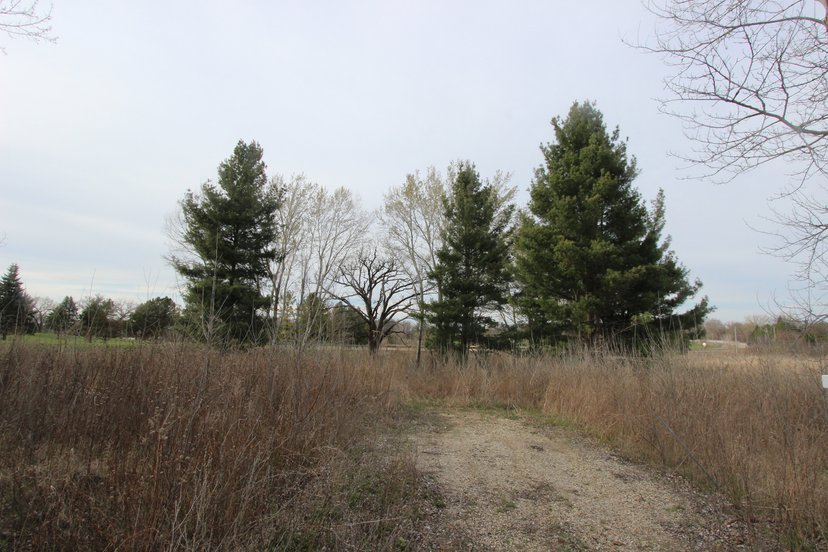 17206 O'Brien Road Harvard, IL 60033 - Photo 2 of 6 a view of a lake view