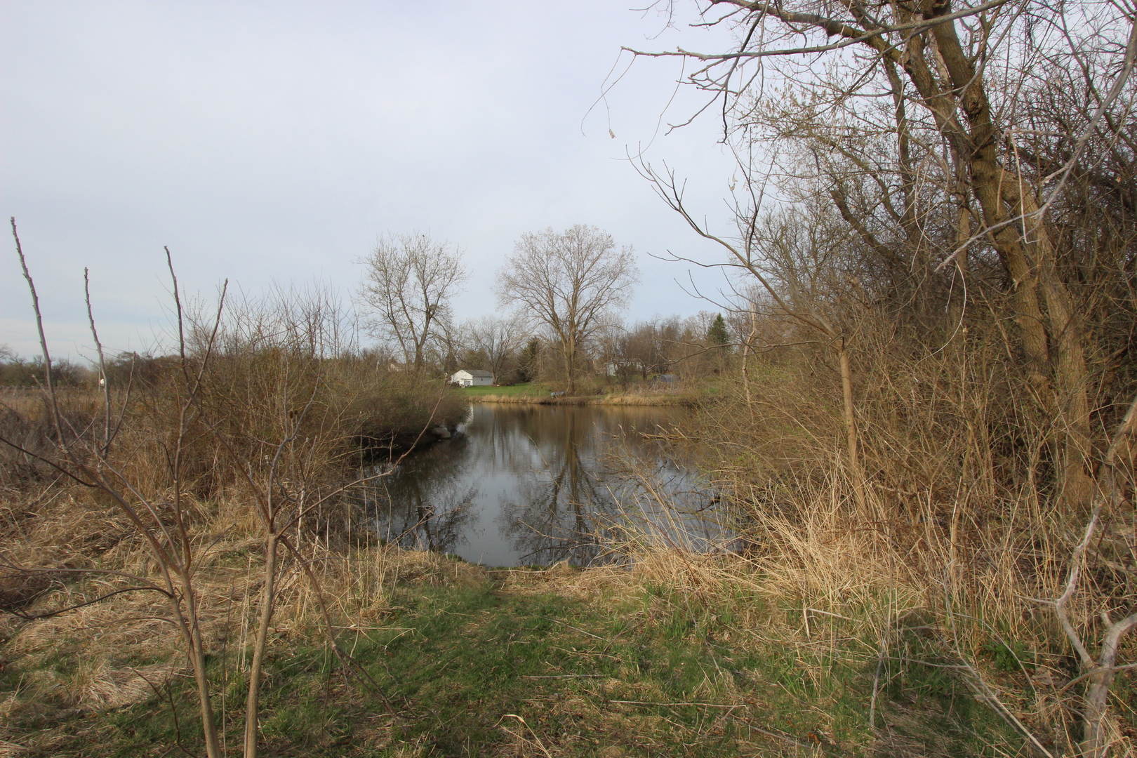 17206 O'Brien Road Harvard, IL 60033 - Photo 3 of 6 a backyard of a house with lots of green space