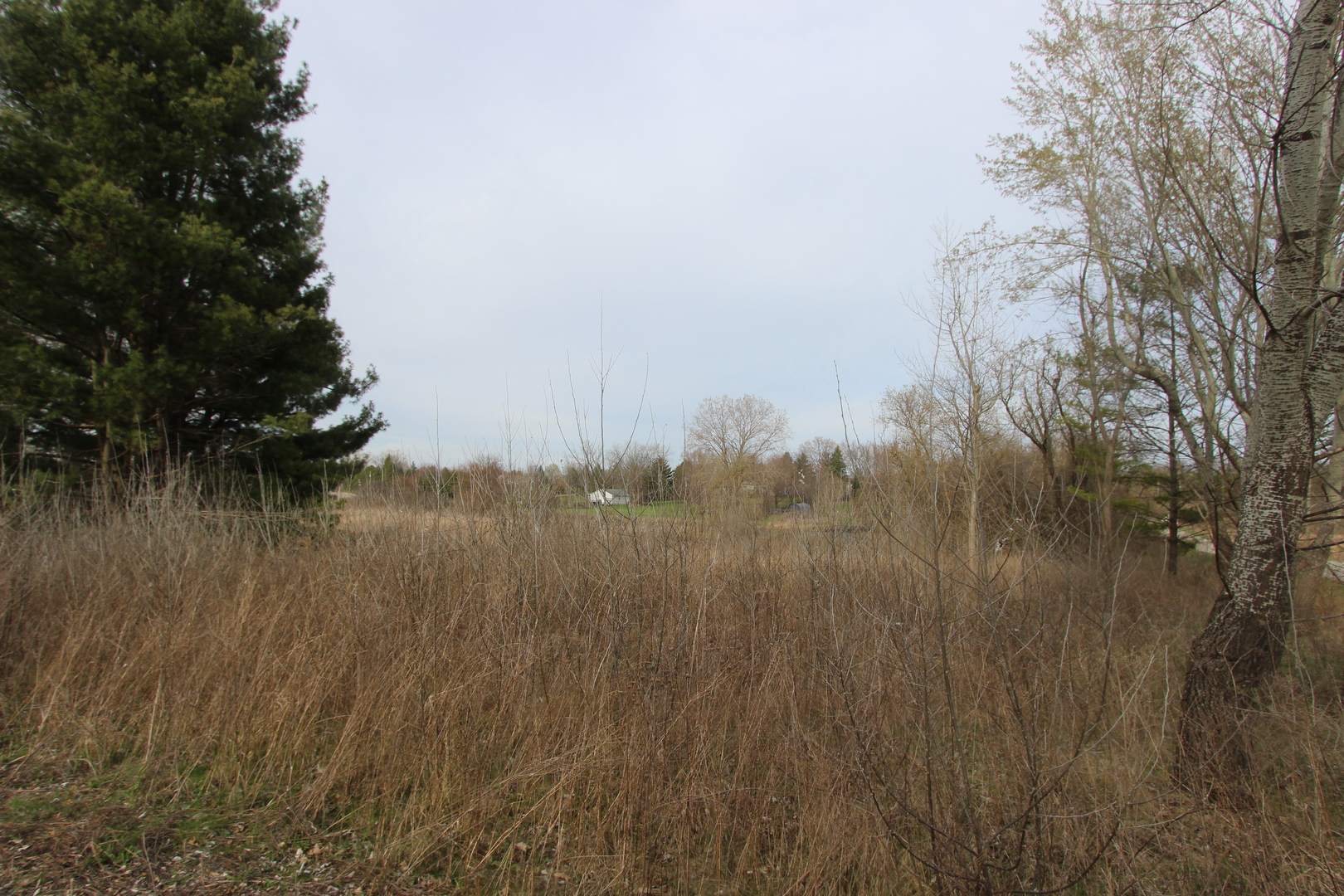 17206 O'Brien Road Harvard, IL 60033 - Photo 4 of 6 a view of lake