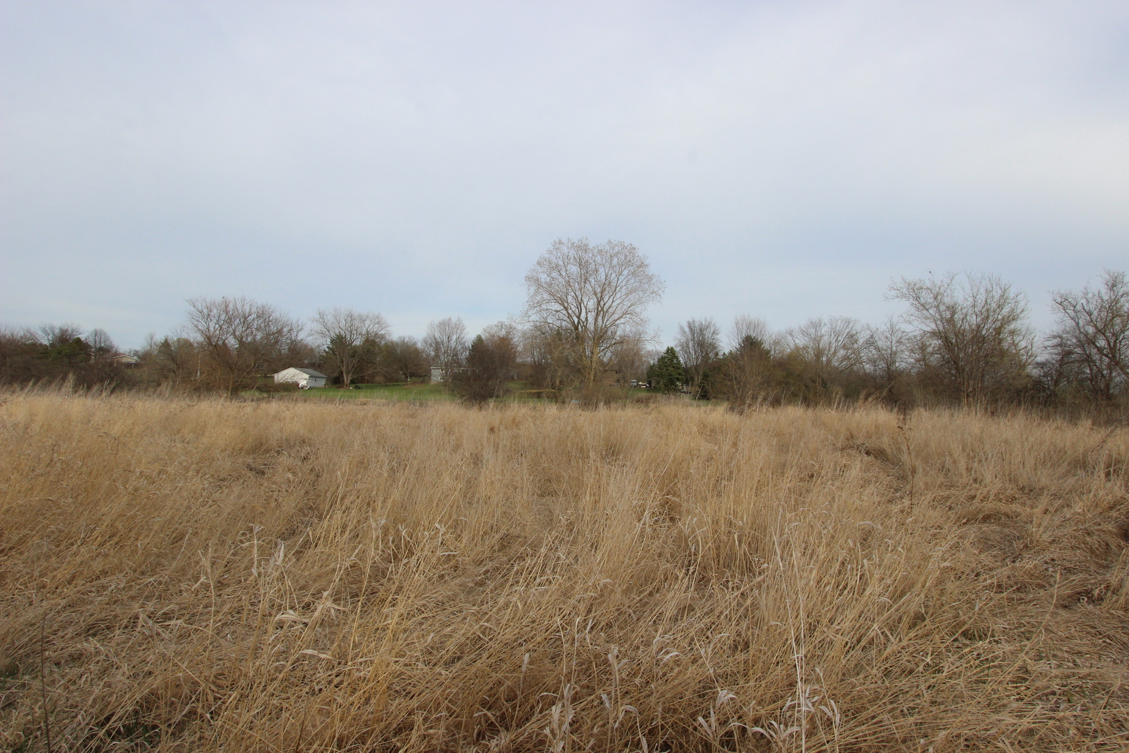 17206 O'Brien Road Harvard, IL 60033 - Photo 5 of 6