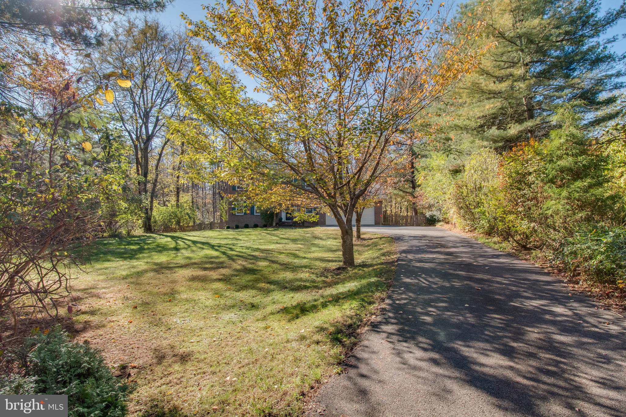 4806 Piney Branch Road Fairfax, VA 22030 - Photo 3 of 50