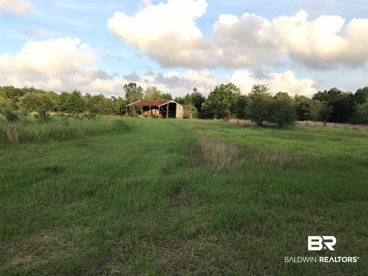 0 Kings Ldg Road Seminole, AL 36574 - Photo 6 of 17