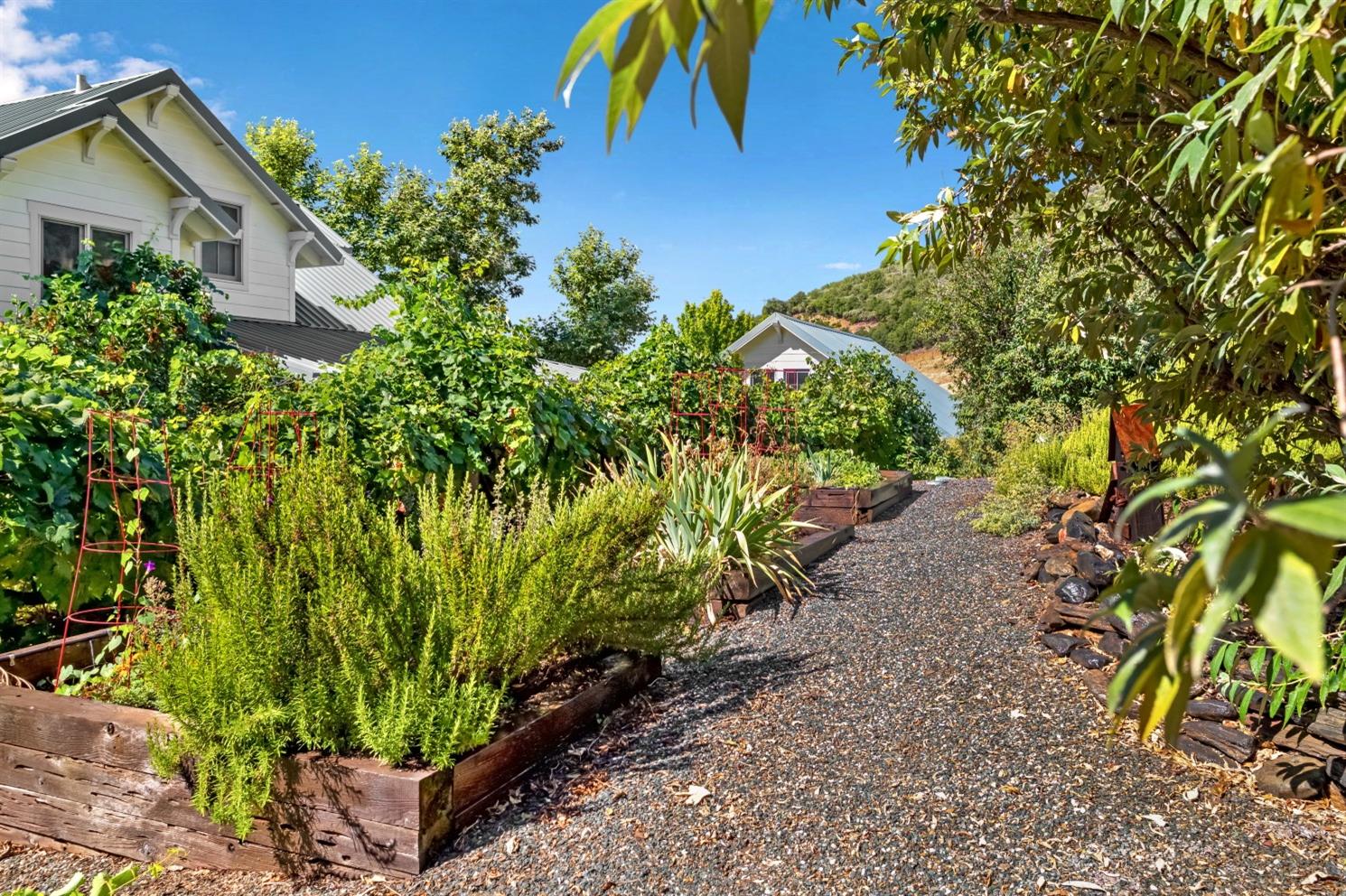 3000 Sheep Ranch Road Murphys, CA 95247 - Photo 56 of 75 Gallery Image 56