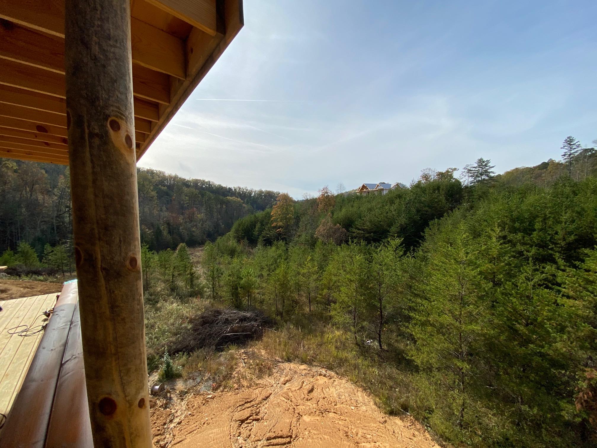 Owens Ridge Way Sevierville, TN 37876 - Photo 7 of 9 IMG_0495
