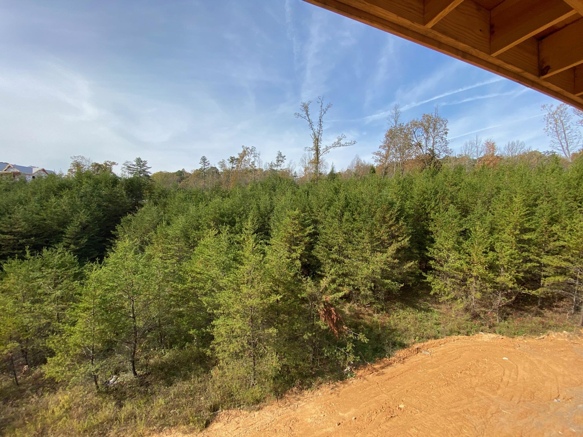Owens Ridge Way Sevierville, TN 37876 - Photo 8 of 9 IMG_0496