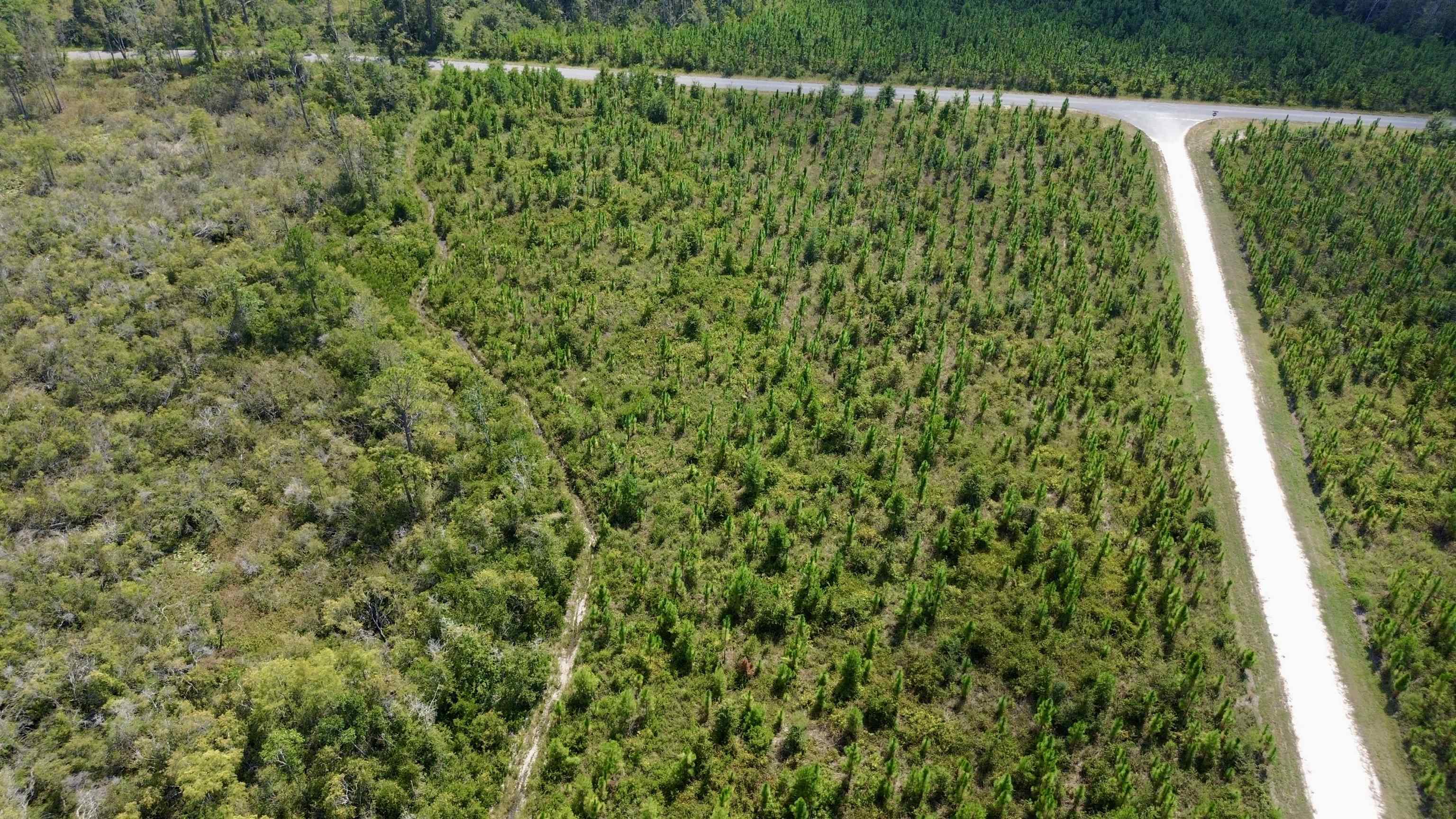 Lot 4 Southwest Wakulla Way Greenville, FL 32331 - Photo 11 of 21