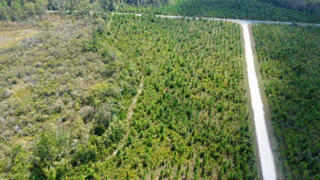 $64,000 | Lot 4 Southwest Wakulla Way, Greenville, FL 32331