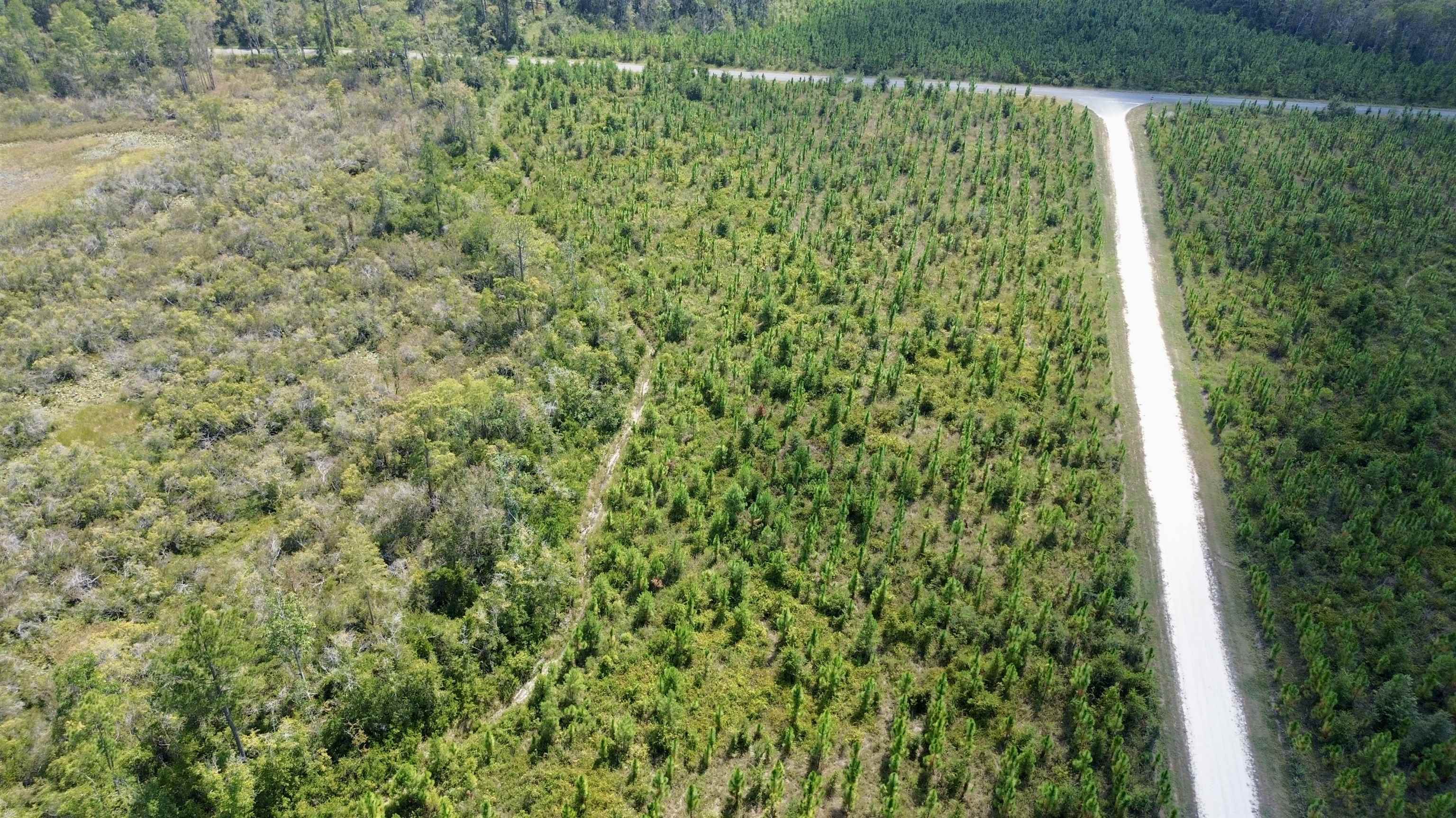 Lot 4 Southwest Wakulla Way Greenville, FL 32331 - Photo 12 of 21