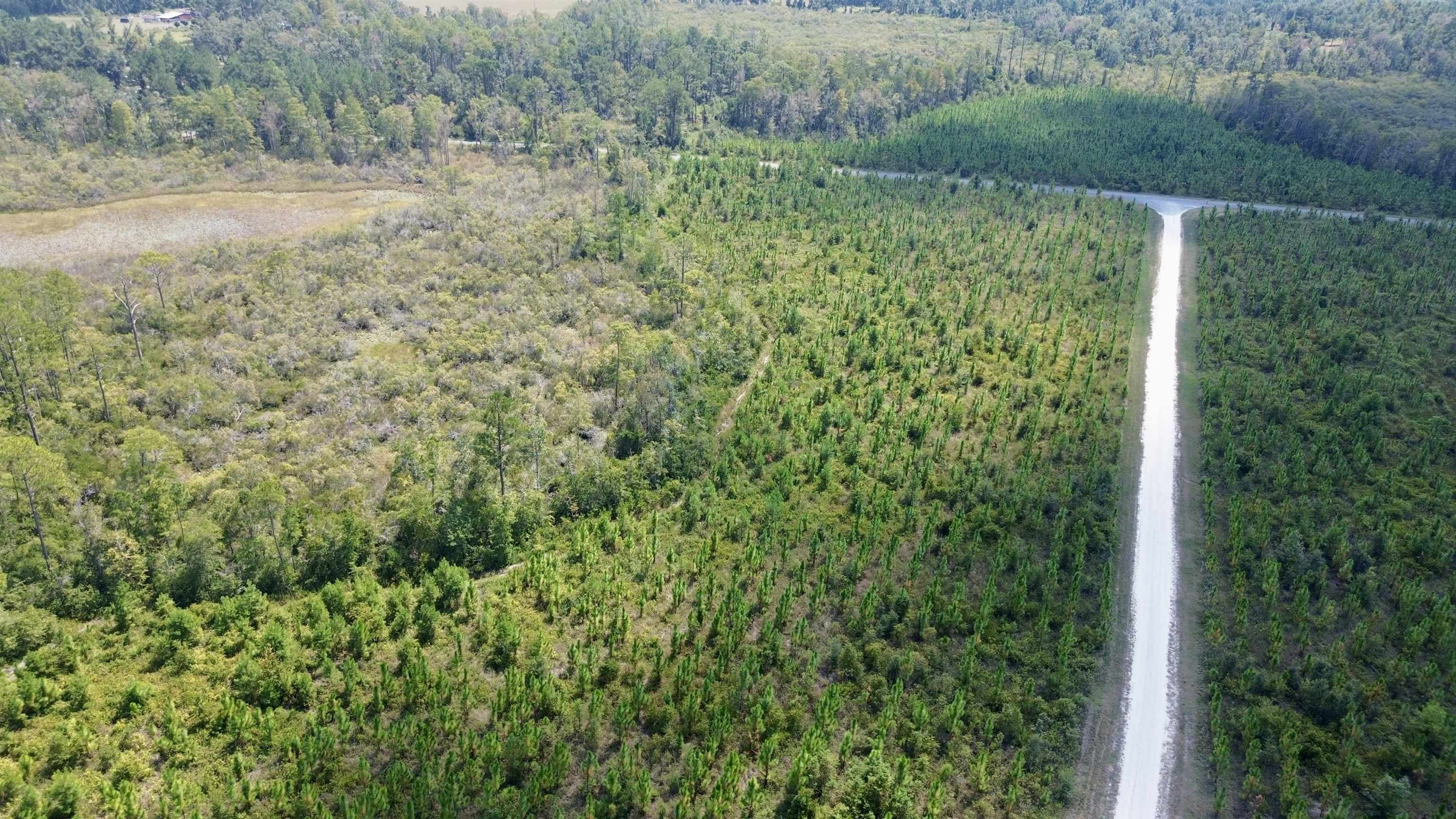 Lot 4 Southwest Wakulla Way Greenville, FL 32331 - Photo 13 of 21