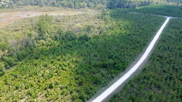 $64,000 | Lot 4 Southwest Wakulla Way, Greenville, FL 32331