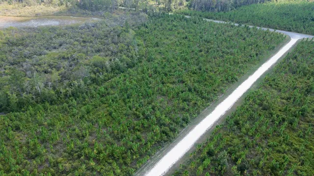 $64,000 | Lot 4 Southwest Wakulla Way, Greenville, FL 32331