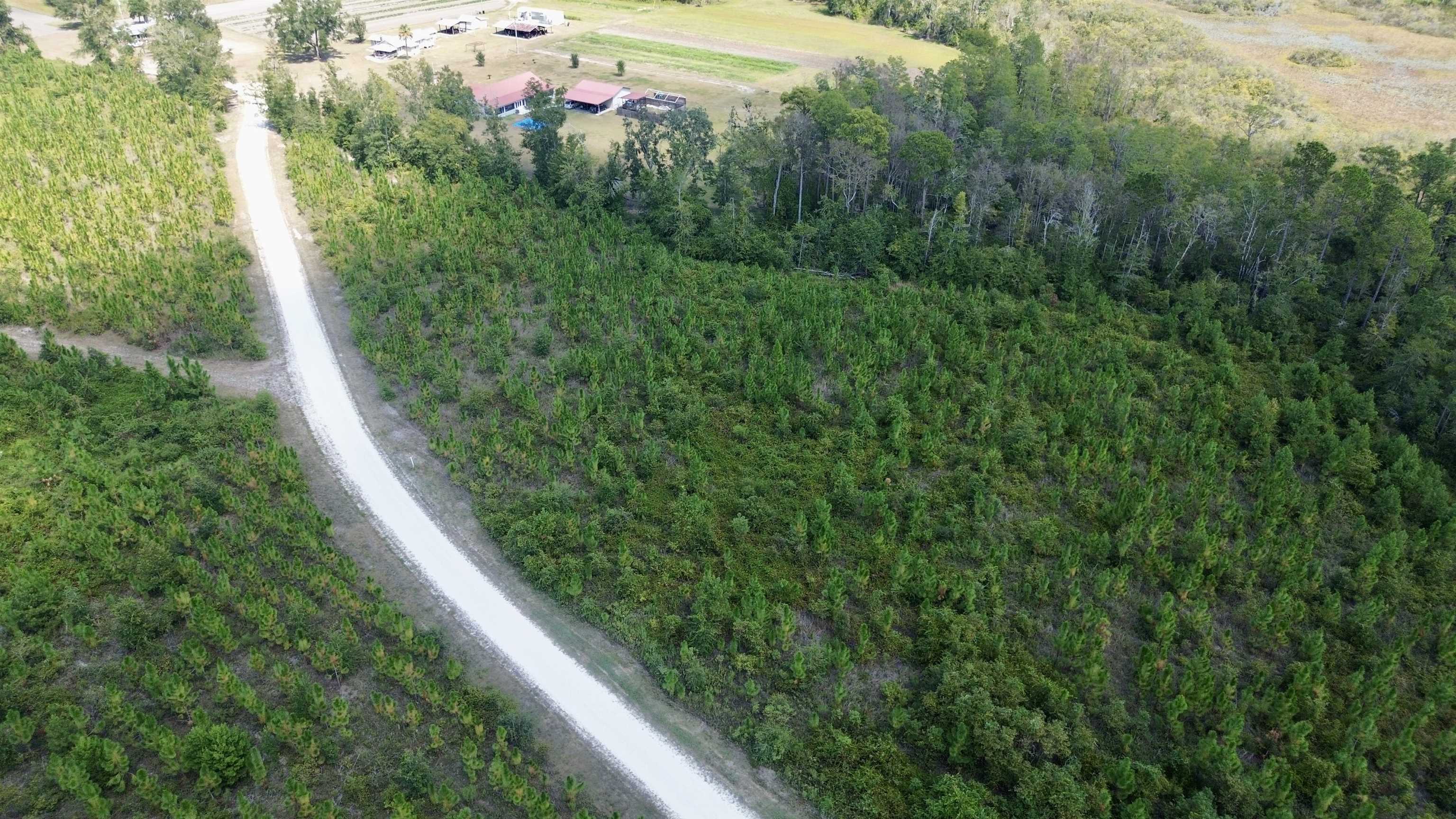 Lot 4 Southwest Wakulla Way Greenville, FL 32331 - Photo 16 of 21