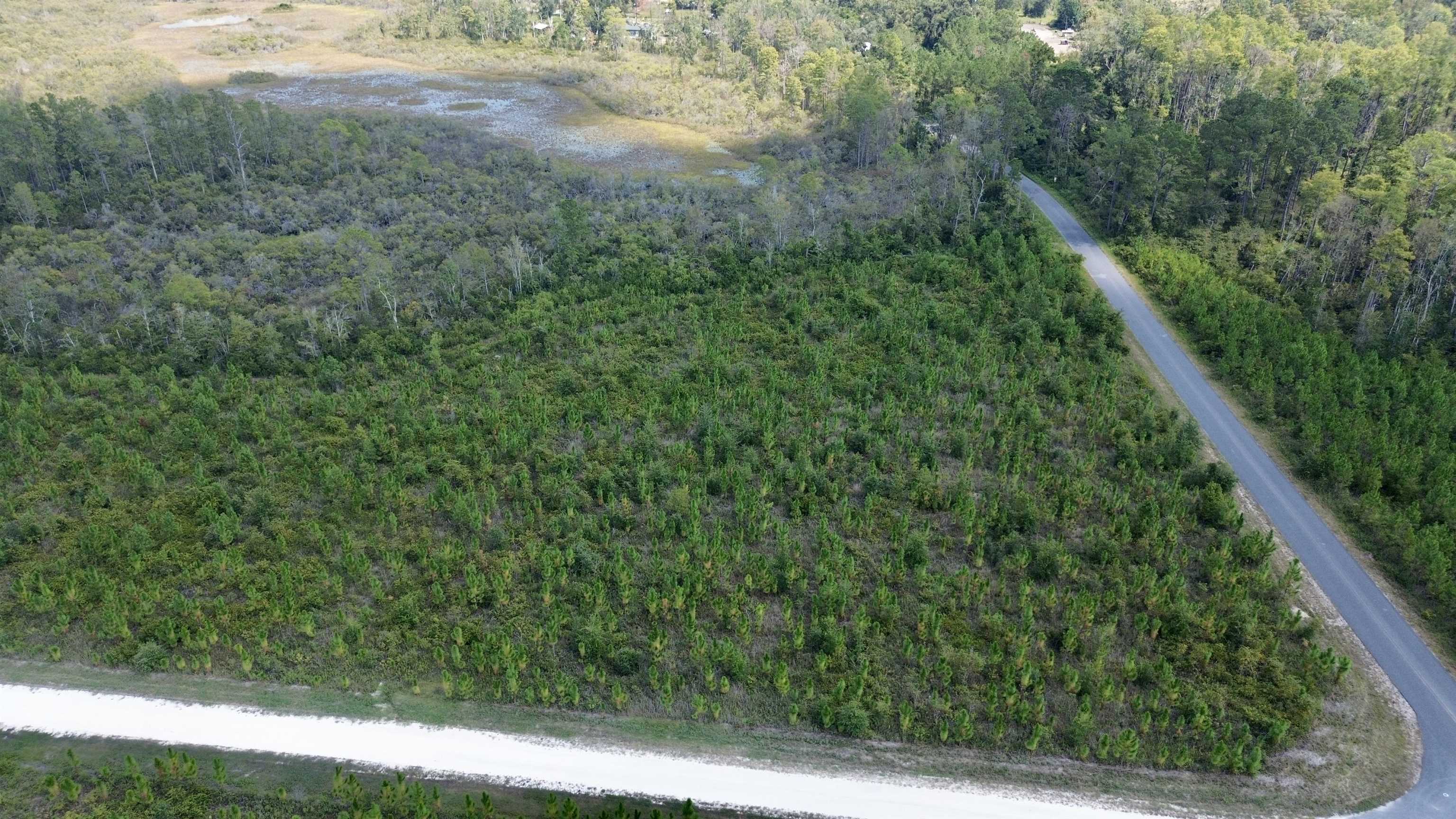 Lot 4 Southwest Wakulla Way Greenville, FL 32331 - Photo 17 of 21