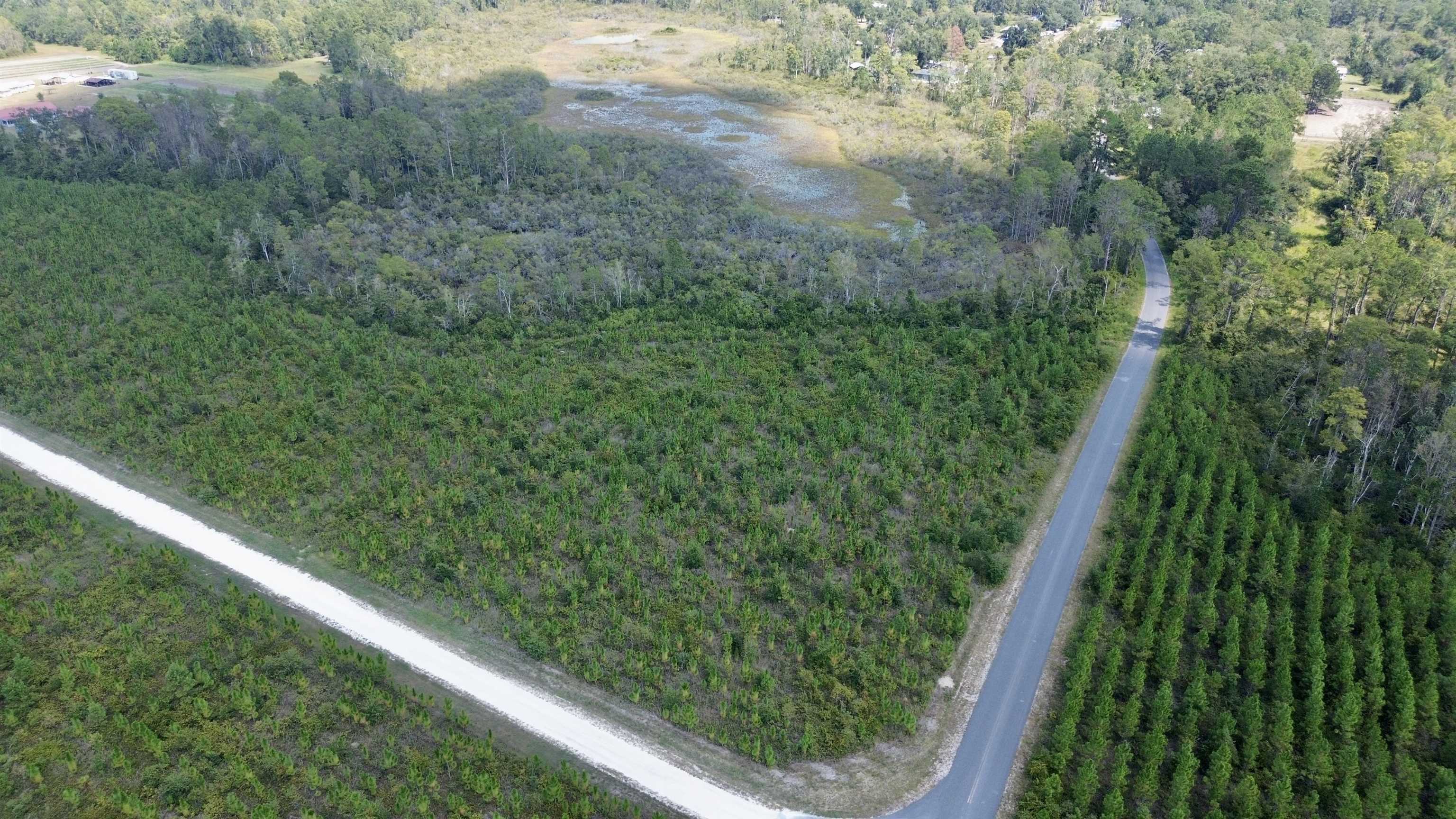 Lot 4 Southwest Wakulla Way Greenville, FL 32331 - Photo 18 of 21