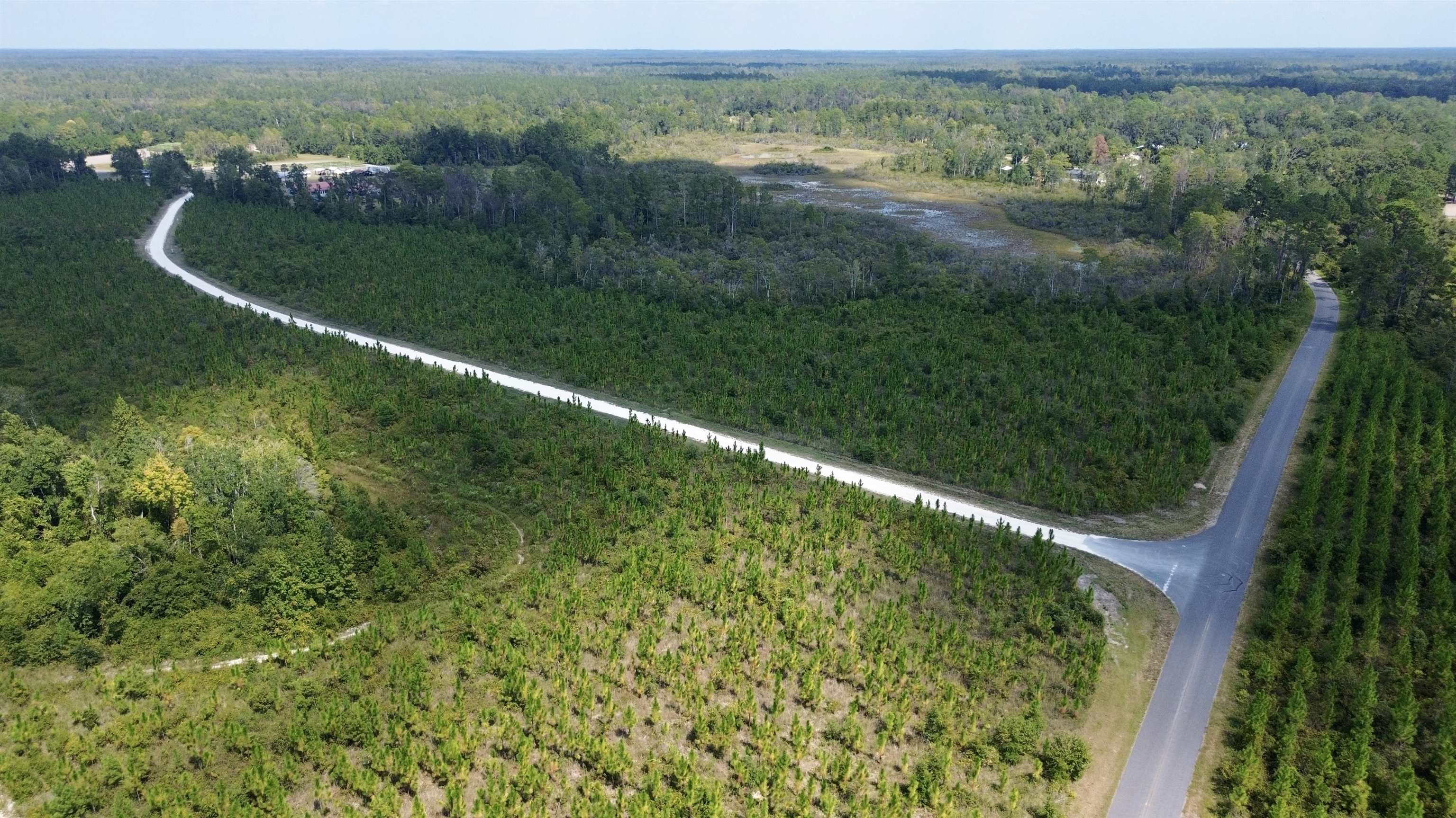 Lot 4 Southwest Wakulla Way Greenville, FL 32331 - Photo 20 of 21