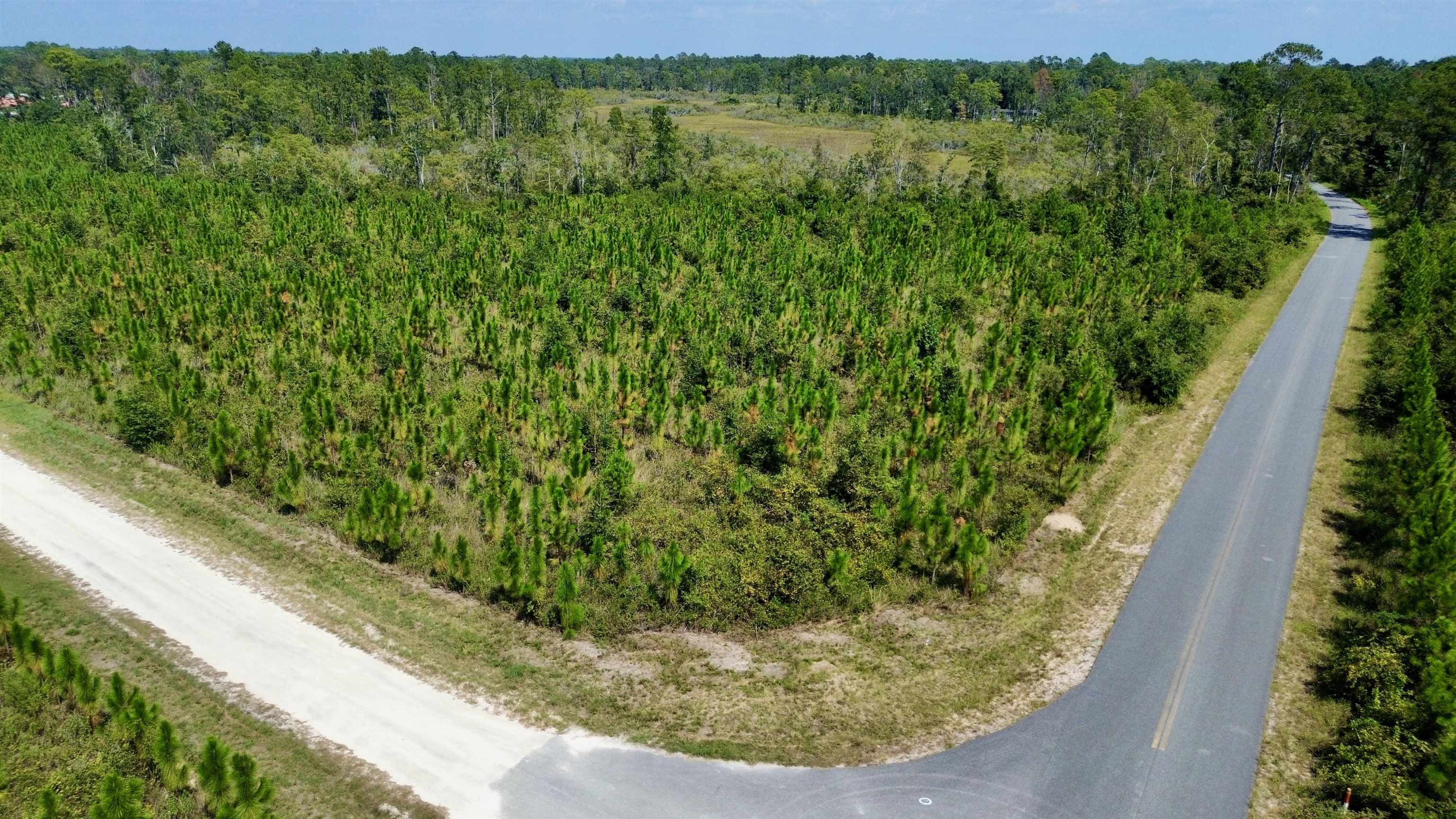 Lot 4 Southwest Wakulla Way Greenville, FL 32331 - Photo 2 of 21