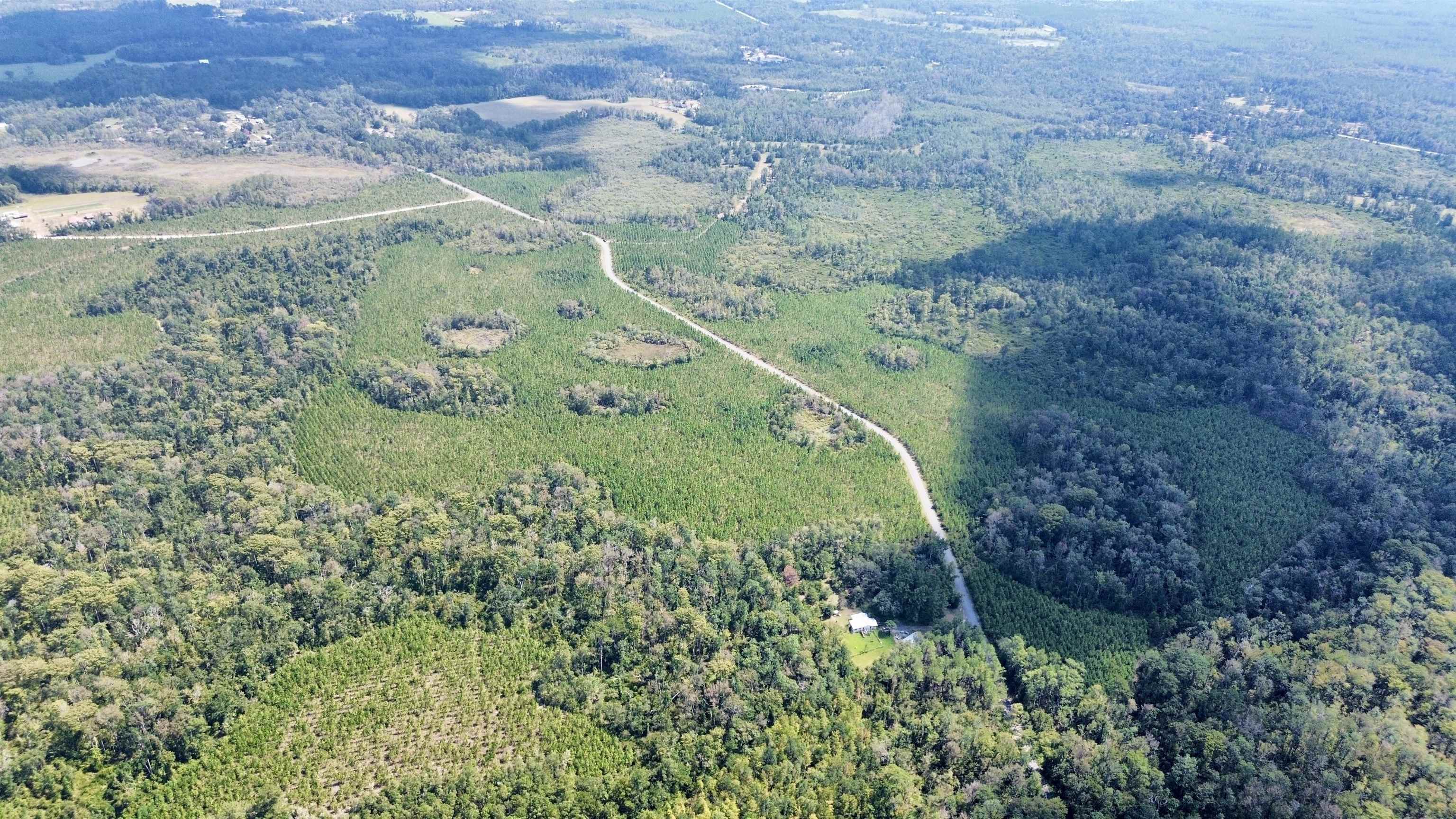 Lot 4 Southwest Wakulla Way Greenville, FL 32331 - Photo 3 of 21