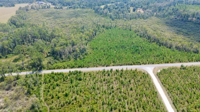 $64,000 | Lot 4 Southwest Wakulla Way, Greenville, FL 32331