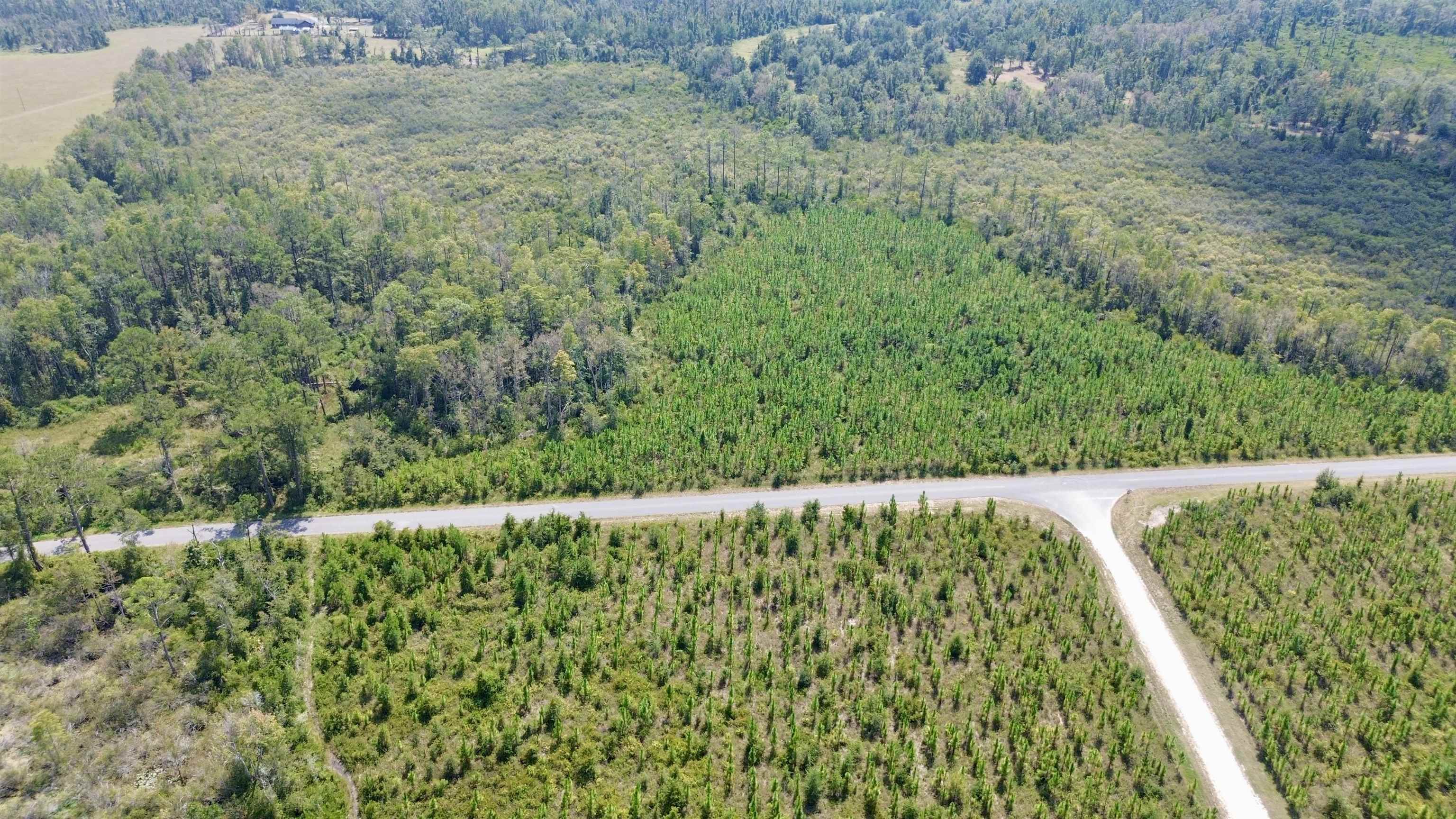 Lot 4 Southwest Wakulla Way Greenville, FL 32331 - Photo 4 of 21