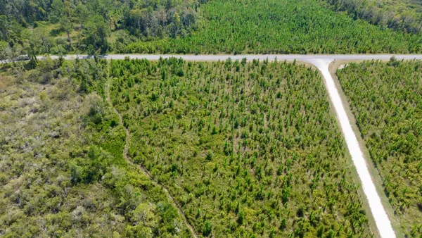 $64,000 | Lot 4 Southwest Wakulla Way, Greenville, FL 32331