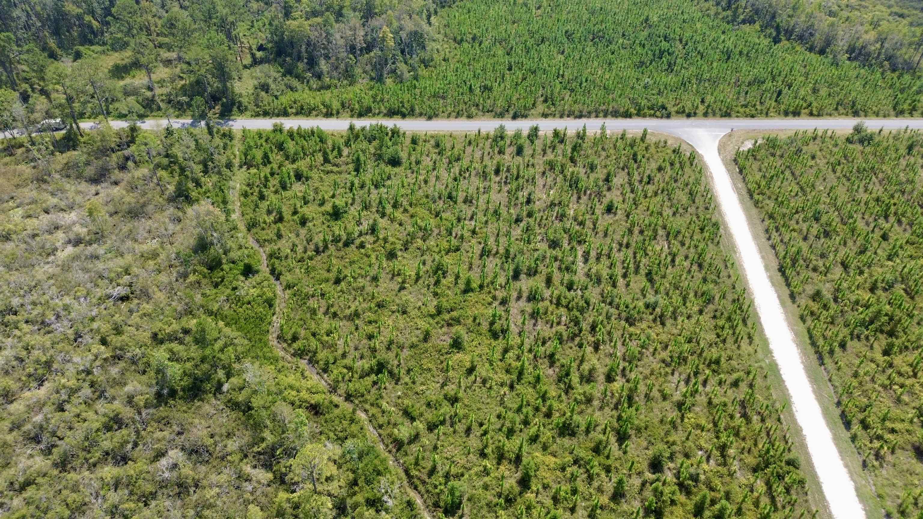 Lot 4 Southwest Wakulla Way Greenville, FL 32331 - Photo 5 of 21