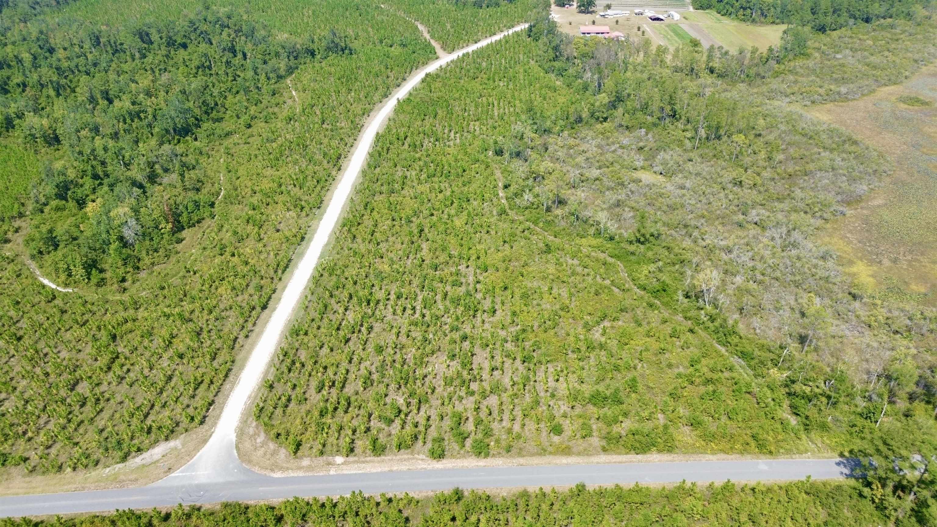 Lot 4 Southwest Wakulla Way Greenville, FL 32331 - Photo 7 of 21