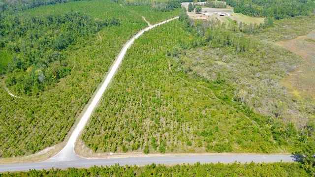 $64,000 | Lot 4 Southwest Wakulla Way, Greenville, FL 32331