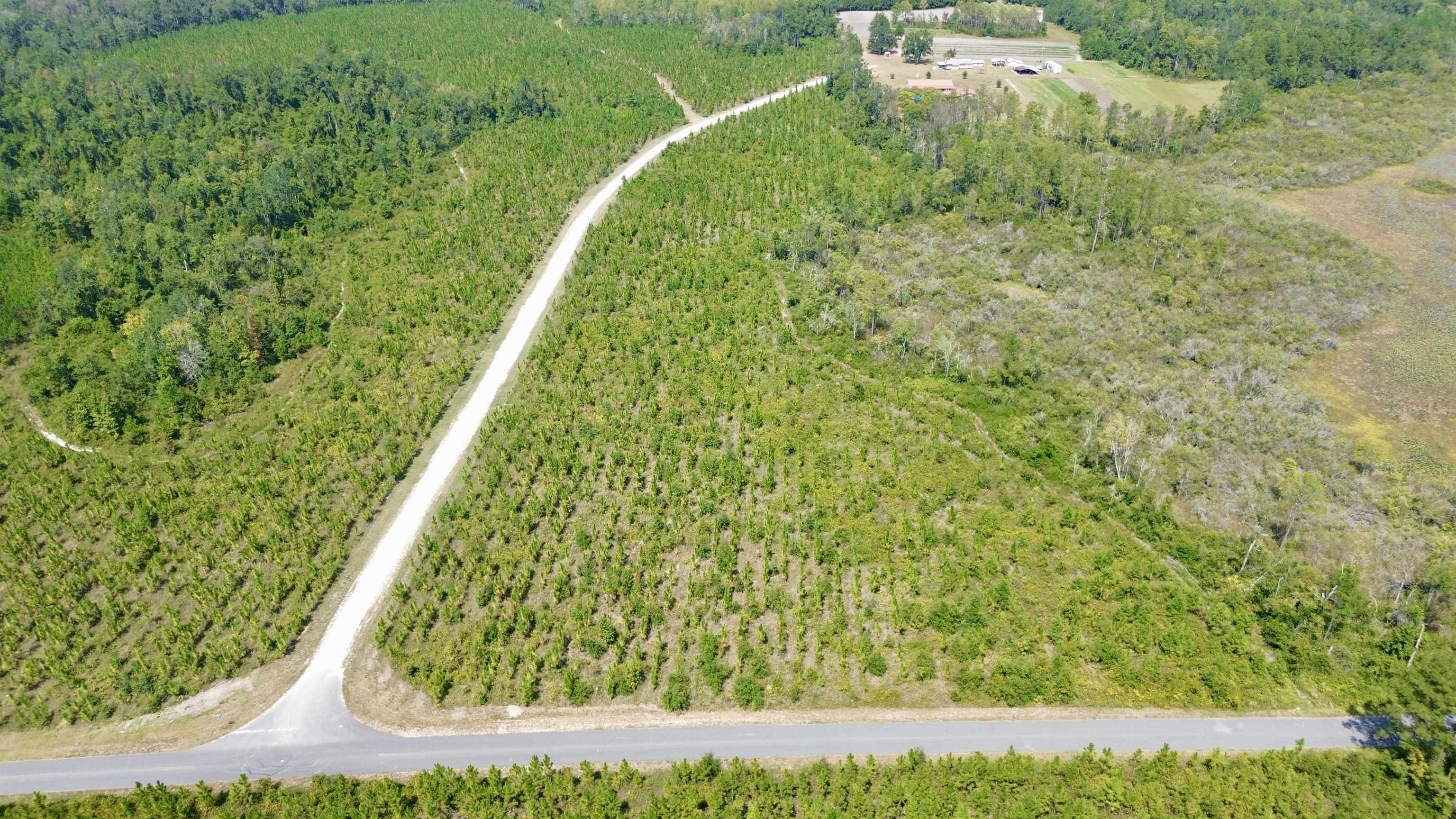 Lot 4 Southwest Wakulla Way Greenville, FL 32331 - Photo 8 of 21